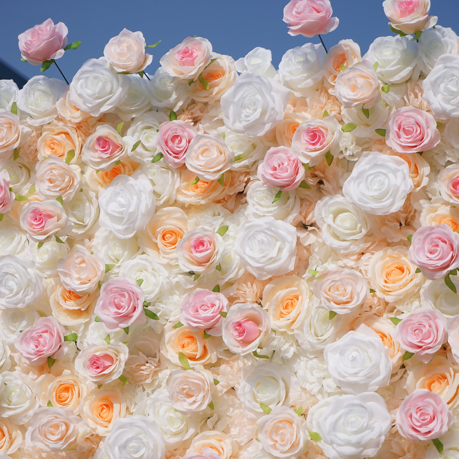 This photo captures a stunning floral wall, likely by ValarFlowers, brimming with artificial roses in soft shades of white, pink, and peach. The dense arrangement creates a romantic, dreamy ambiance, perfect for weddings or events. The realistic petals and lush green accents enhance the natural look, while the bright blue sky in the background adds a touch of serenity. This setup offers long-lasting beauty, ideal for creating memorable moments and elegant backdrops.