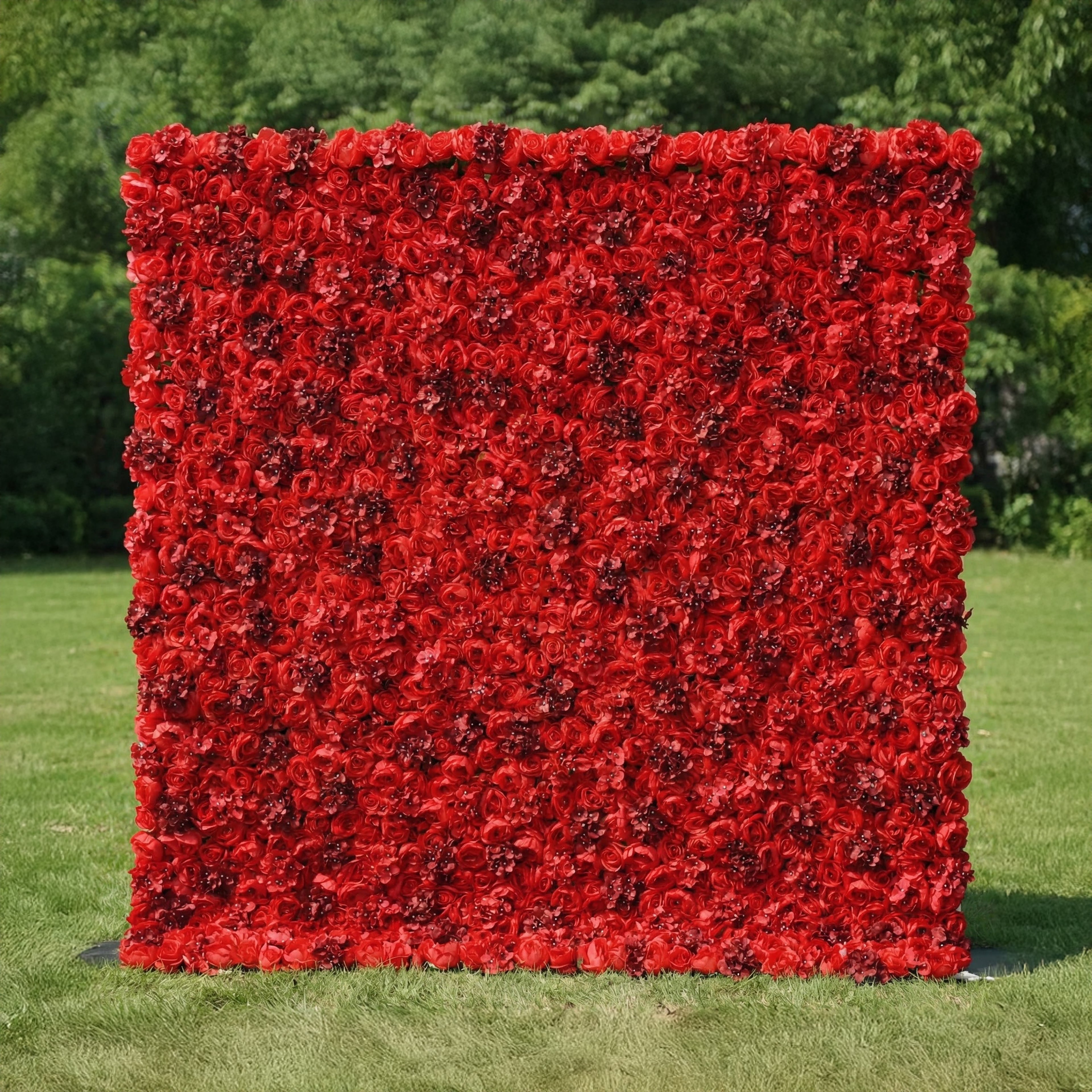 This striking outdoor backdrop stands on a lush green lawn, framed by leafy trees. It is a dense, wall-to-wall expanse of deep red roses, their velvety petals creating a rich, textured surface that exudes passion and drama. The bold, saturated hue contrasts vividly with the soft green grass, making it ideal for romantic proposals, Valentine’s Day events, or bold wedding decor that commands attention.