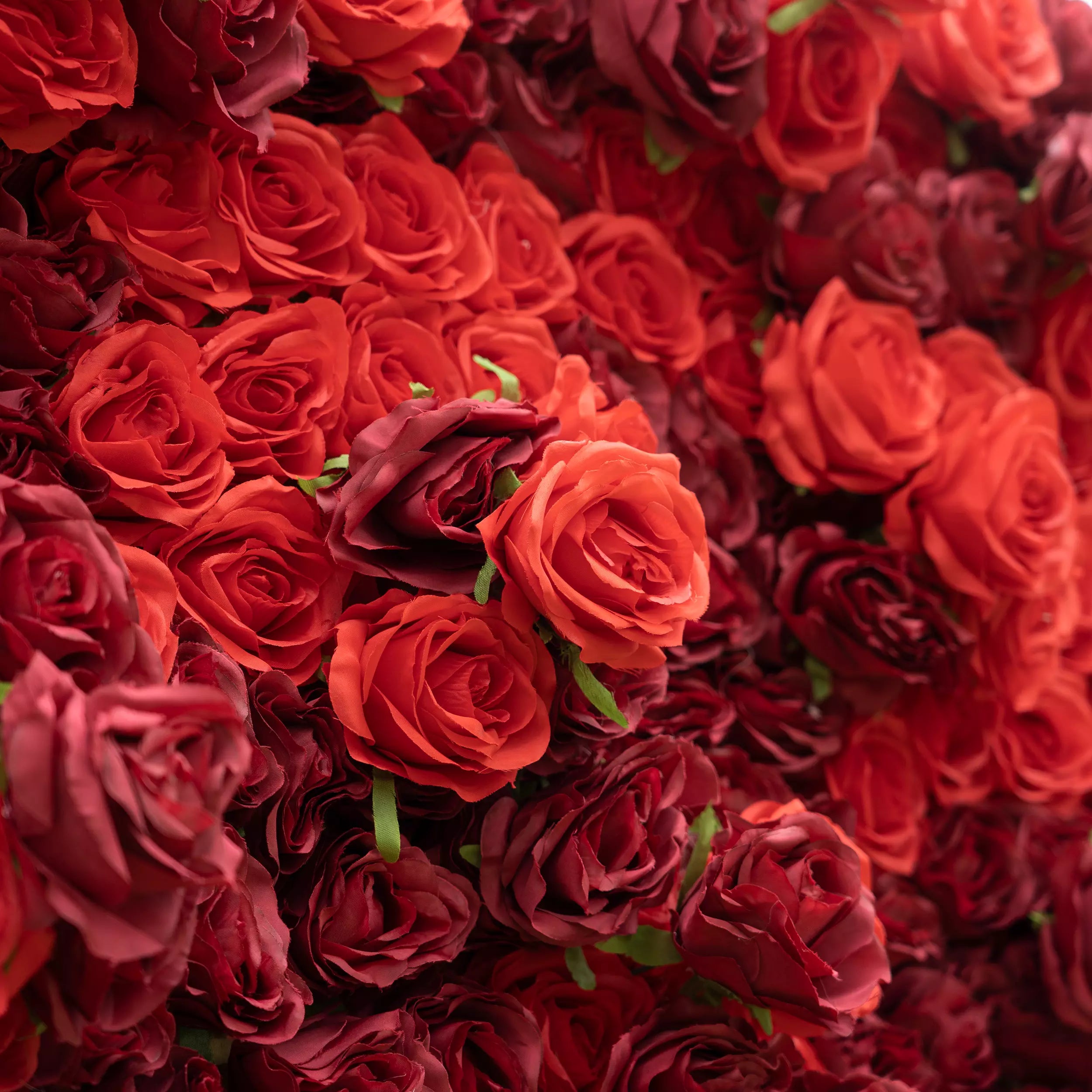 This detailed close-up is a dense cascade of red roses, blending vivid crimson and deep burgundy tones. Their soft, ruffled petals create a lush, velvety texture, filling the frame with rich, romantic warmth. The layered blooms evoke passion and elegance, making this display perfect for romantic event decor, wedding styling, or intimate floral accents.