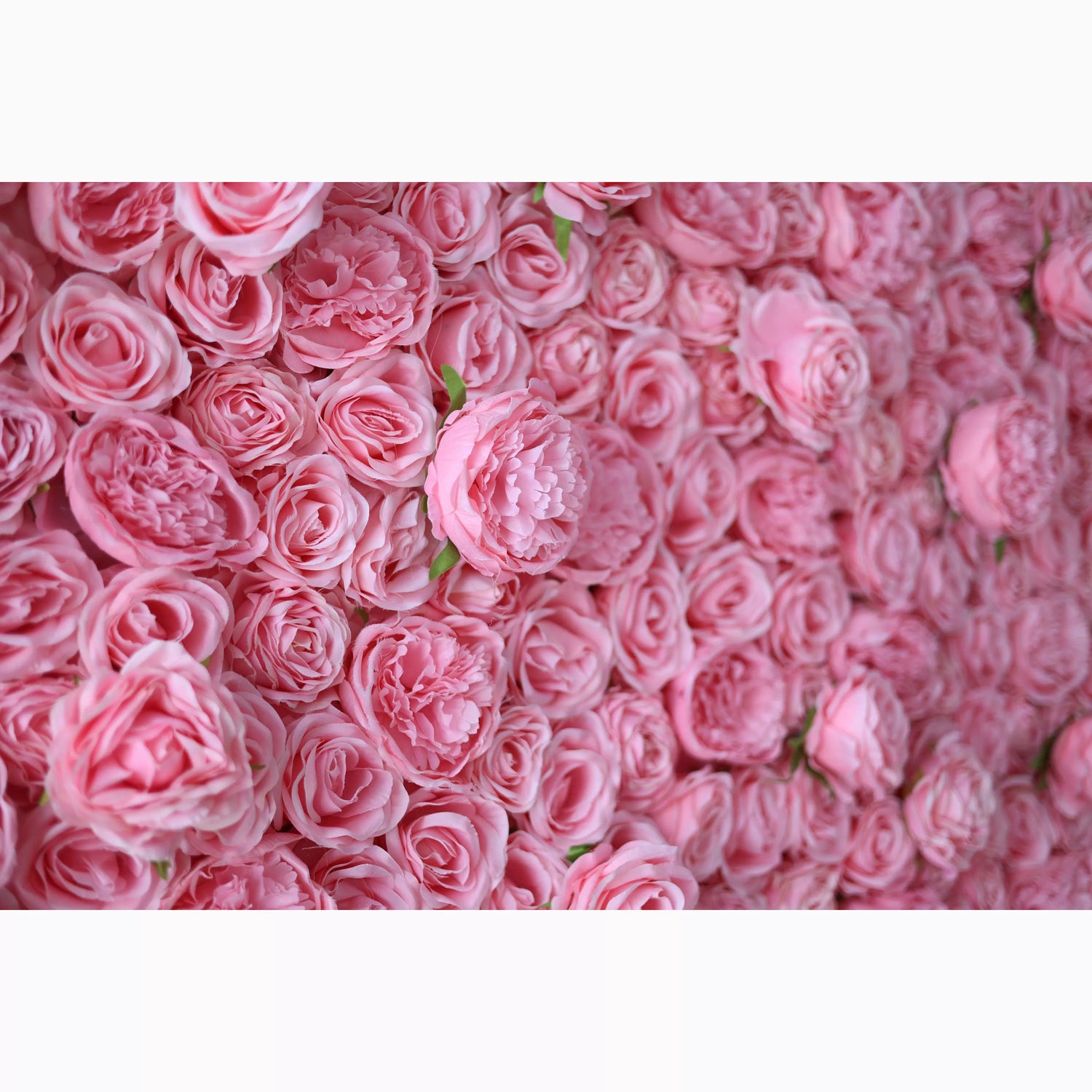 A dense wall of artificial pink roses and peonies. The soft, uniform pink hue creates a lush, romantic texture. Varied petal layers add depth, with small green leaves peeking through. Perfect for adding an elegant, dreamy vibe to decor or events.