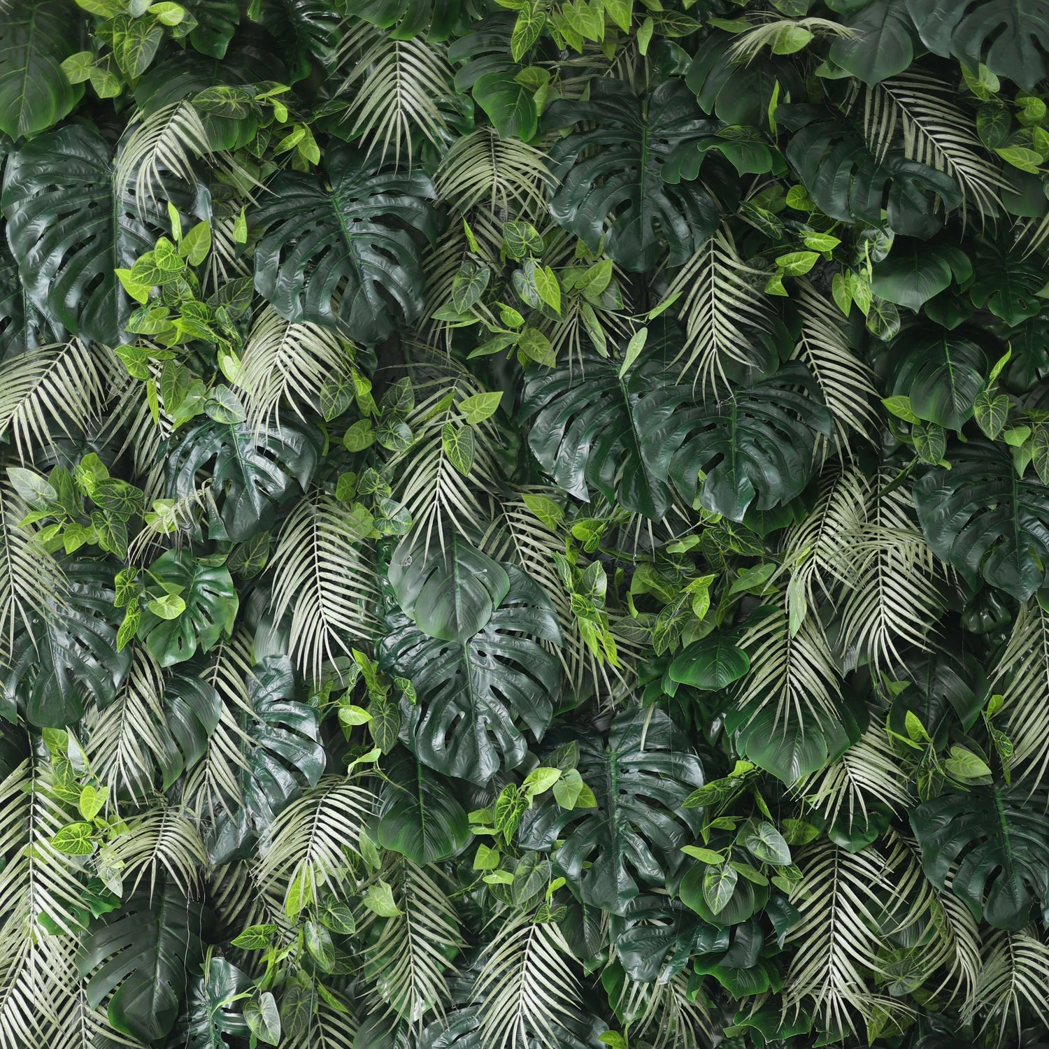 A lush artificial greenery wall features large monstera leaves, delicate fern fronds, and small green foliage. In various shades of green, they create a dense, tropical - inspired texture, bringing a fresh, natural vibe, ideal for adding an organic touch to decor.