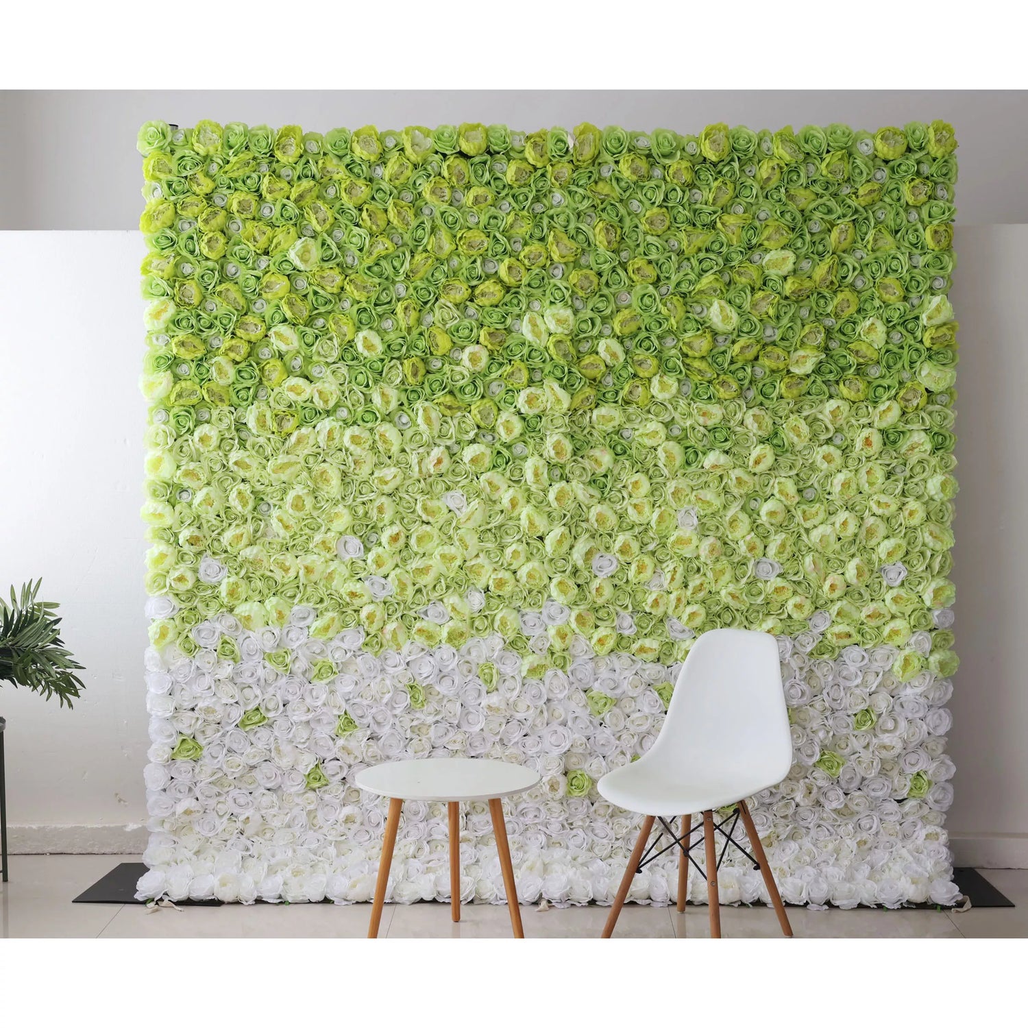 This is a decorative flower wall made of artificial roses, featuring a gradient from green to white. In front of it are a small white round table and a white chair with wooden legs. Ideal for photo backdrops or event decor, creating a fresh and elegant atmosphere.