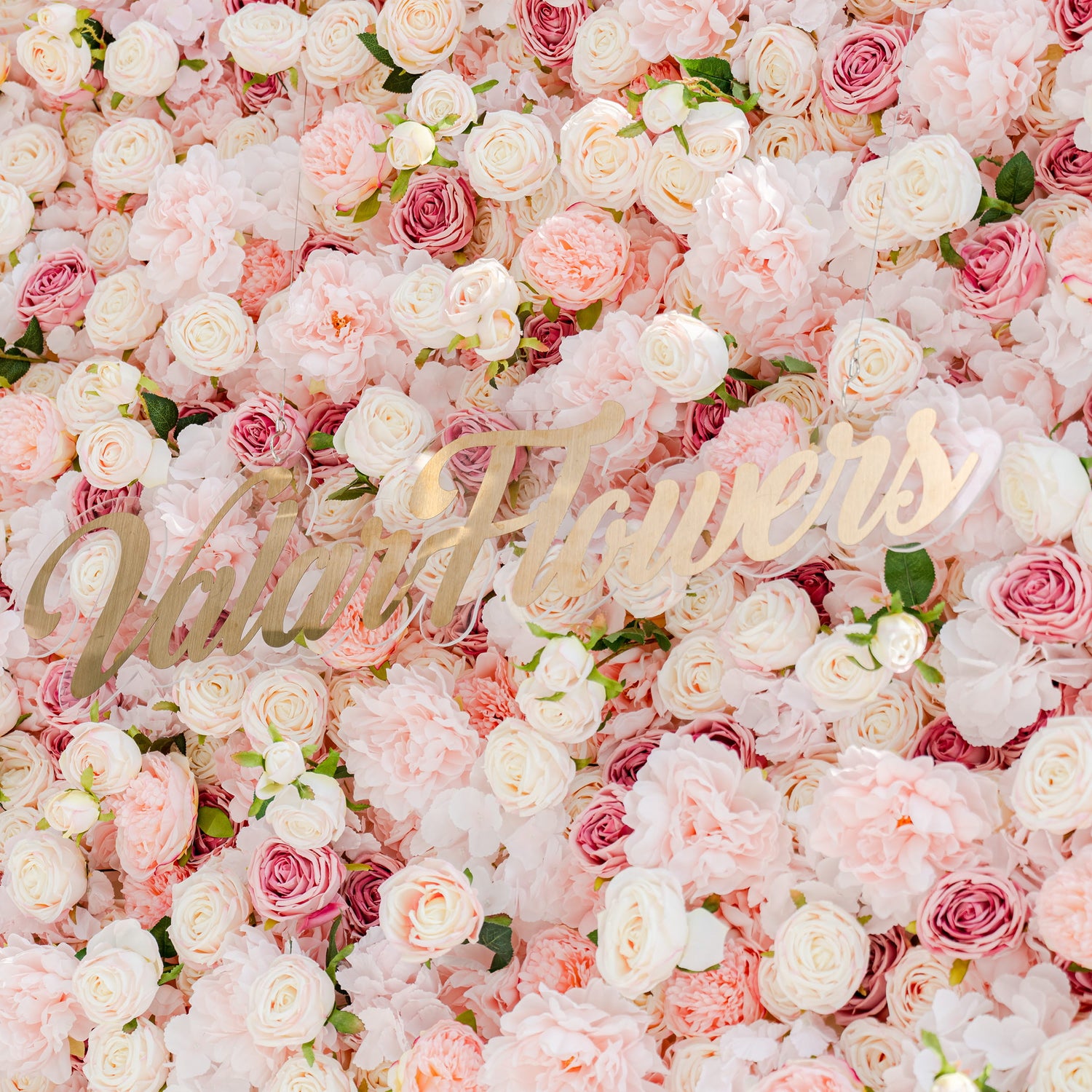 This image showcases a lush floral backdrop densely packed with roses and peonies in soft pink, cream, and hints of deeper pink hues. The delicate petals create a dreamy, romantic texture. Prominently displayed in gold lettering is “ValarFlowers,” adding a touch of branding. Ideal for weddings, bridal showers, or other love - centered events, it exudes elegance and charm.
