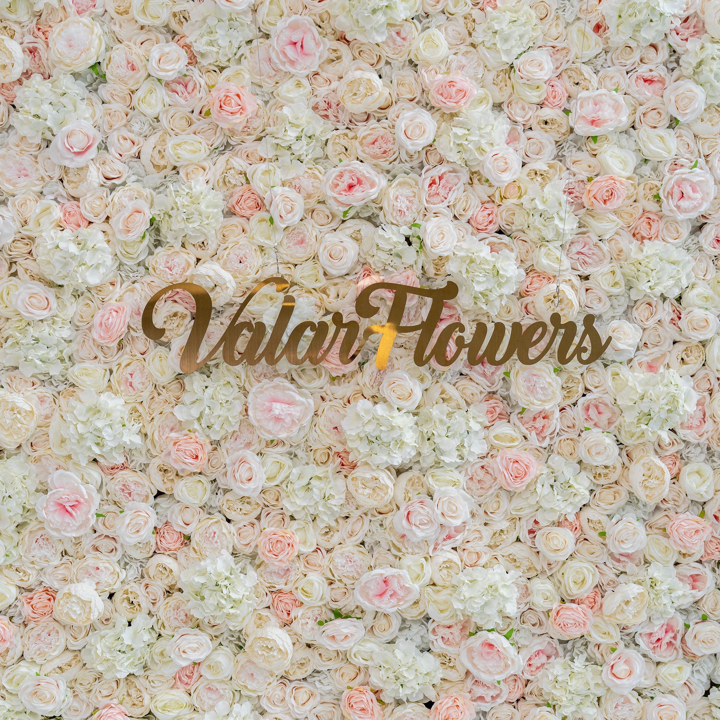 This image features a floral wall adorned with a dense arrangement of light pink and white flowers. The wall prominently displays the text "ValarFlowers" in the center. The overall ambiance is soft, romantic, and inviting, making it ideal for events such as weddings, bridal showers, or romantic celebrations.