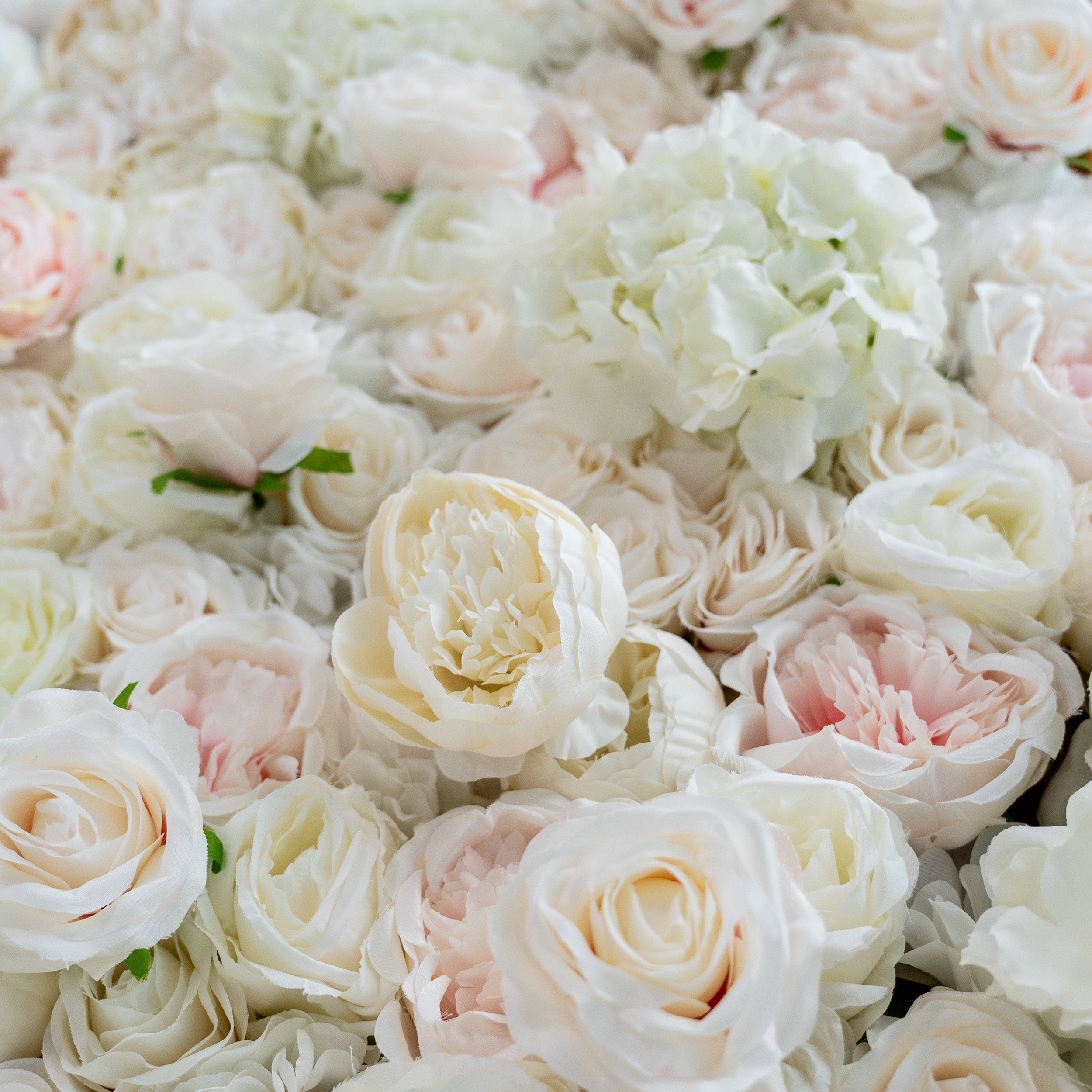 The image showcases a variety of flowers, prominently featuring roses and hydrangeas. The roses exhibit a soft, delicate appearance with layers of petals in shades of white and light pink. The hydrangeas are large, lush, and full, adding a sense of opulence to the arrangement. The flowers are arranged densely, creating a high - quality, luxurious flower wall.