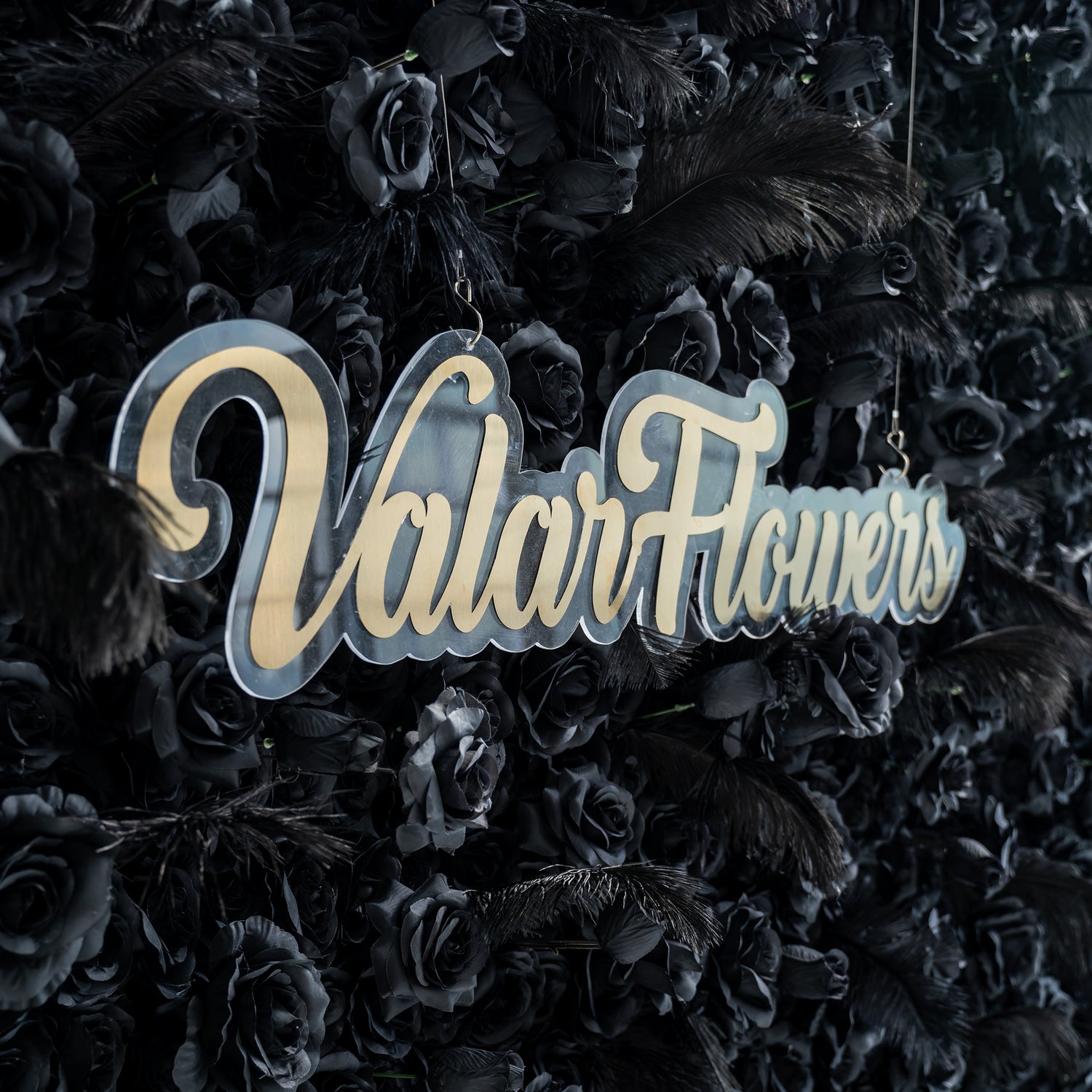 The image shows a sign with the text "ValarFlowers" in a stylish, cursive font. The sign is suspended against a backdrop of black roses and feathers, creating a luxurious and elegant display.