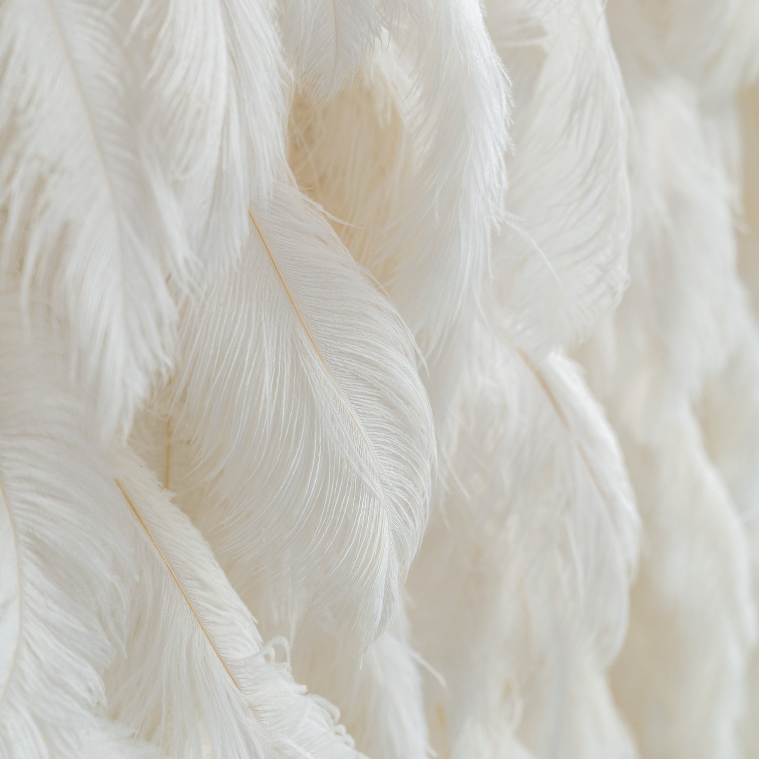 The ValarFlowers artificial feather wall features a plush, white texture. The feathers are densely arranged, creating a soft and luxurious appearance, ideal for decorative purposes.