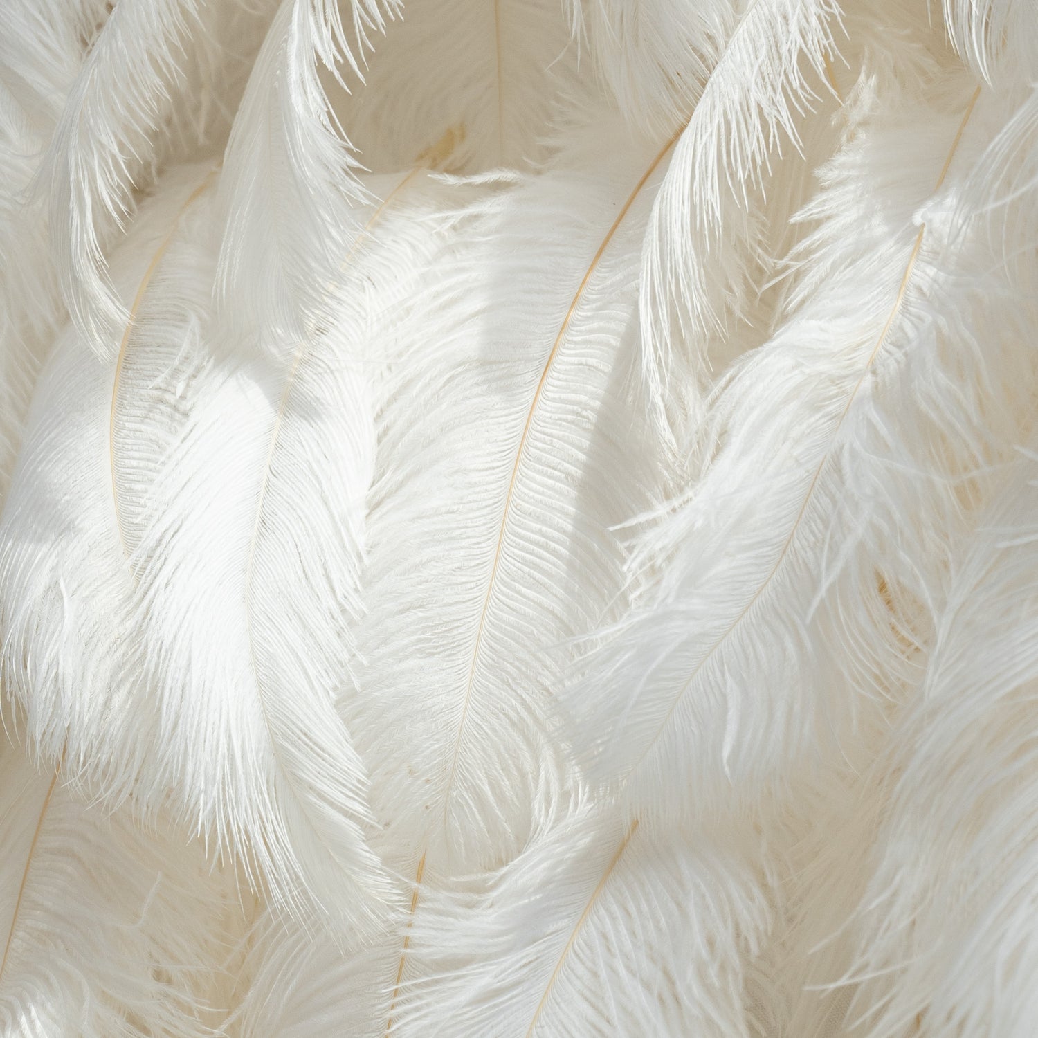 The ValarFlowers artificial feather wall features a dense arrangement of white feathers. The texture is soft and fluffy, creating a luxurious and elegant appearance.