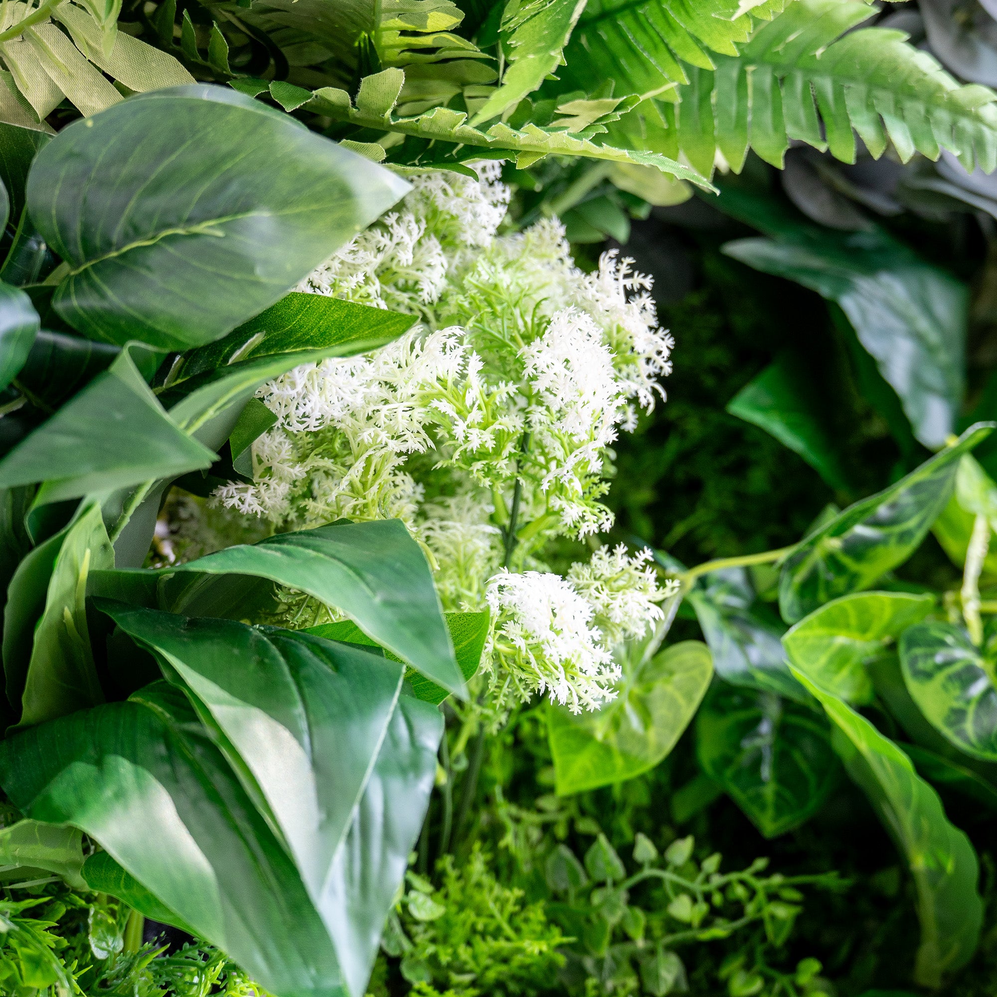 This image showcases a close - up of a lush greenery arrangement. Dominating the center are delicate white, flower - like clusters surrounded by a variety of vibrant green leaves. There are broad, glossy leaves and smaller, intricately patterned ones, all contributing to a rich, textured look. The overall scene exudes a fresh, natural ambiance, likely part of a larger green wall or decorative foliage setup.