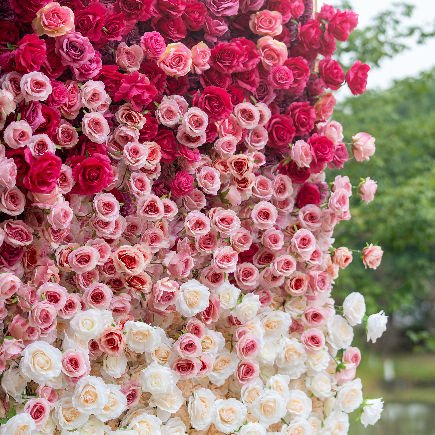 This backdrop presents a lush, gradient arrangement of artificial roses, transitioning from deep red at the top to soft white at the bottom. The dense, vibrant blooms create a luxurious and romantic atmosphere, perfect for weddings or special events.