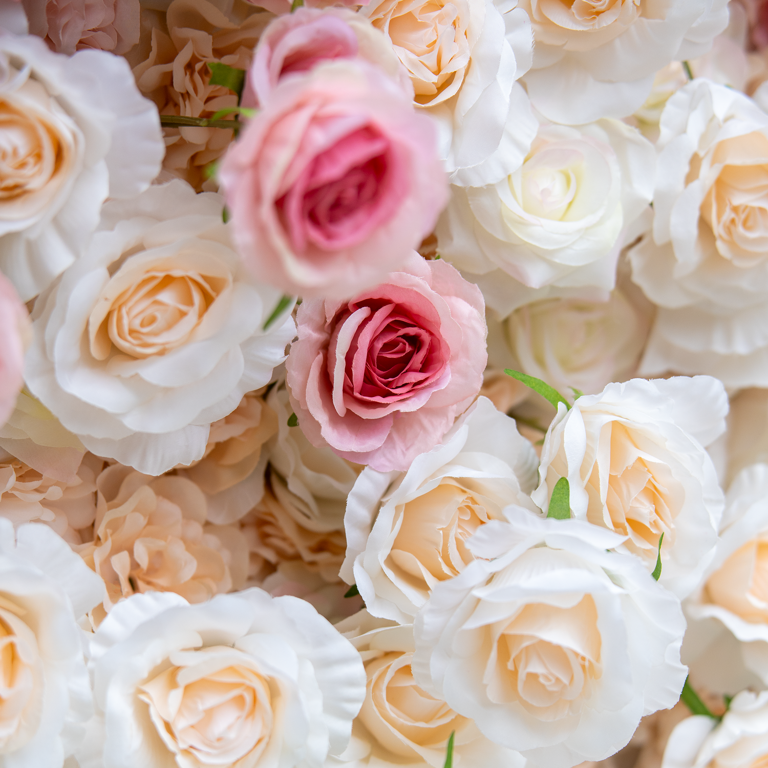 This backdrop features a dense, dreamy arrangement of artificial roses in soft pink and creamy white hues. The meticulously placed blooms create a gentle color gradient, exuding a romantic and elegant ambiance, perfect for weddings or special events.