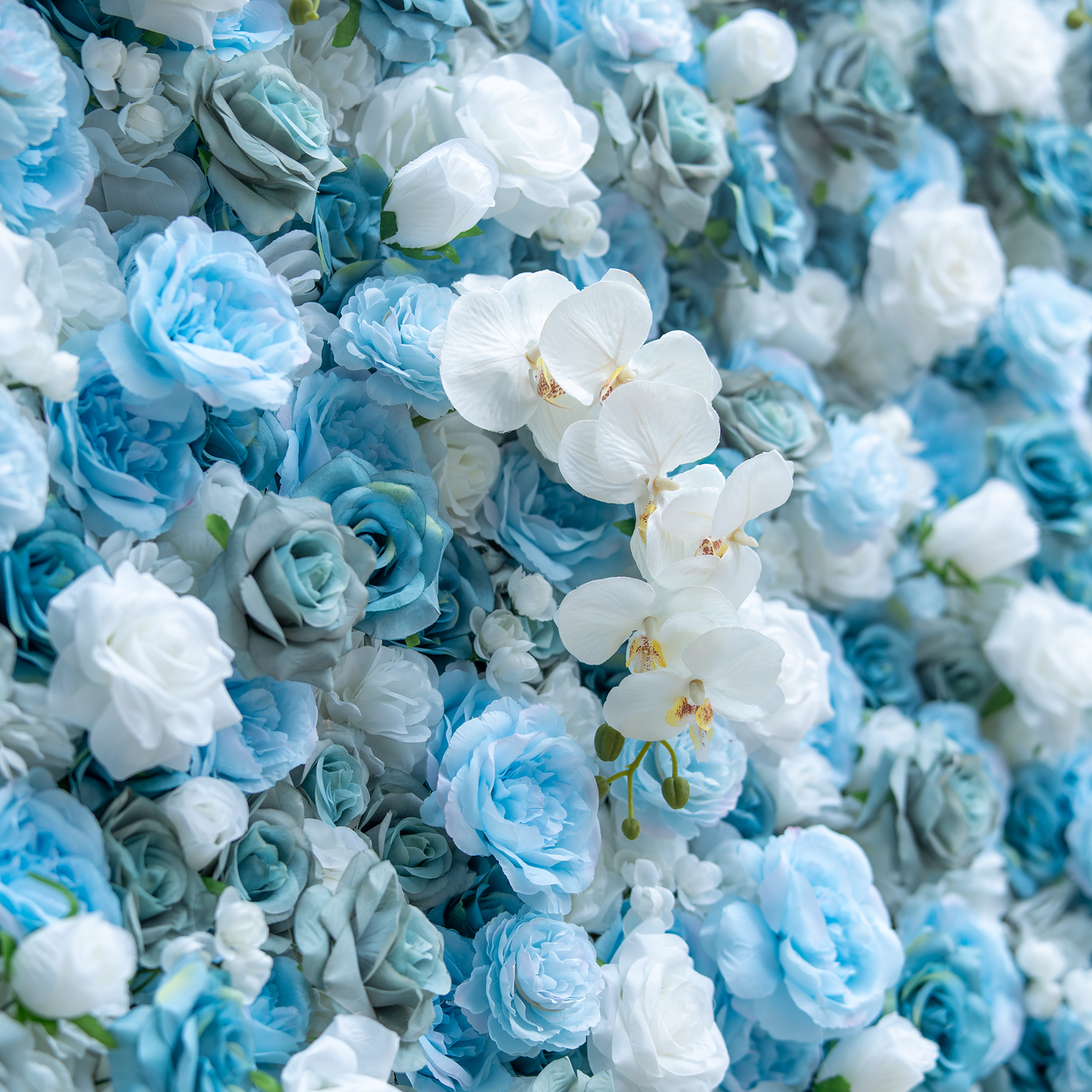 This photo presents a lush, dense floral arrangement featuring a captivating blend of blue and white roses, interspersed with elegant white orchids. The varying shades of blue and white create a visually soothing and harmonious effect. The roses&