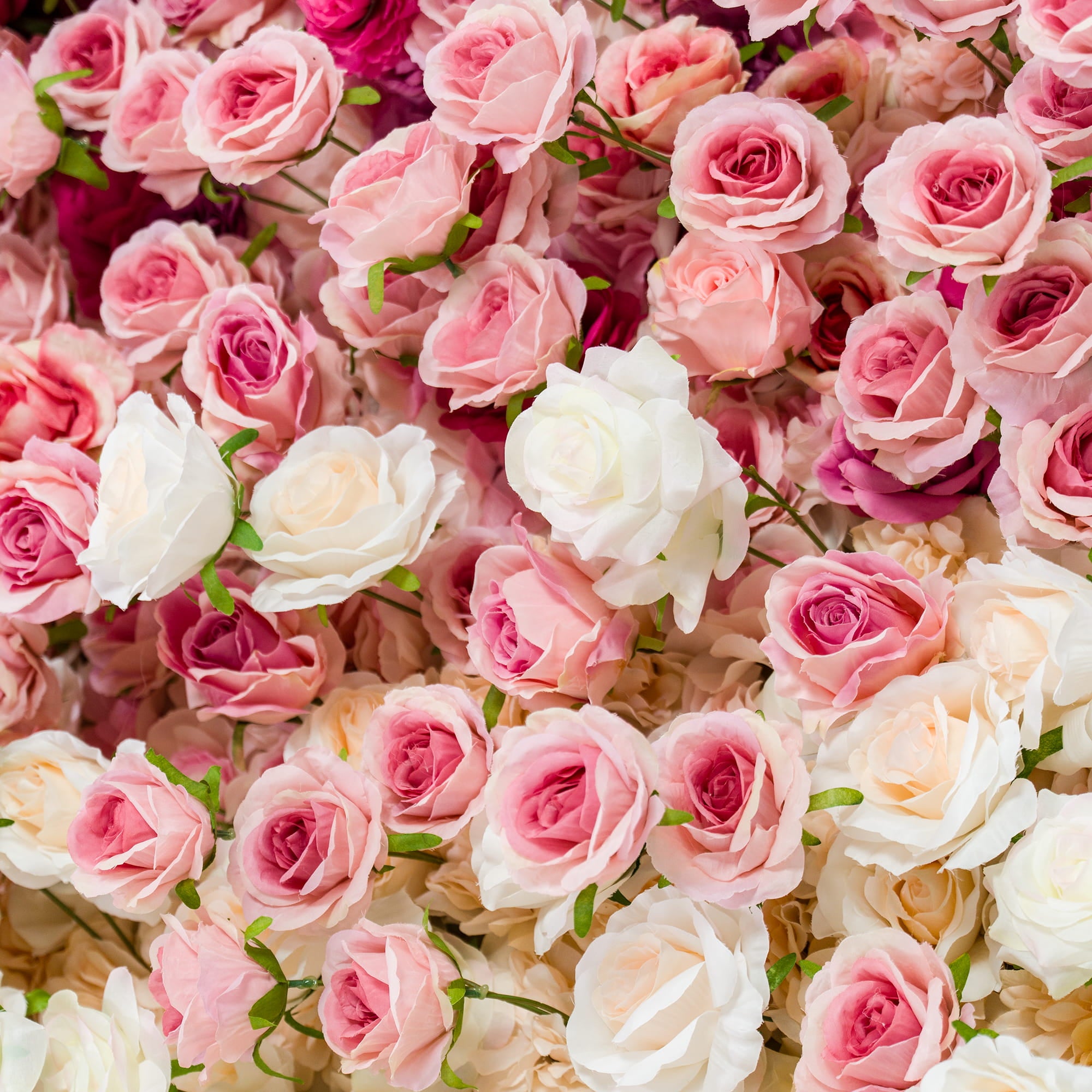 Valar Flowers Roll Up Fabric Artificial Red to White Gradient Flower Wall Wedding Backdrop, Floral Party Decor, Event Photography-VF-372-2