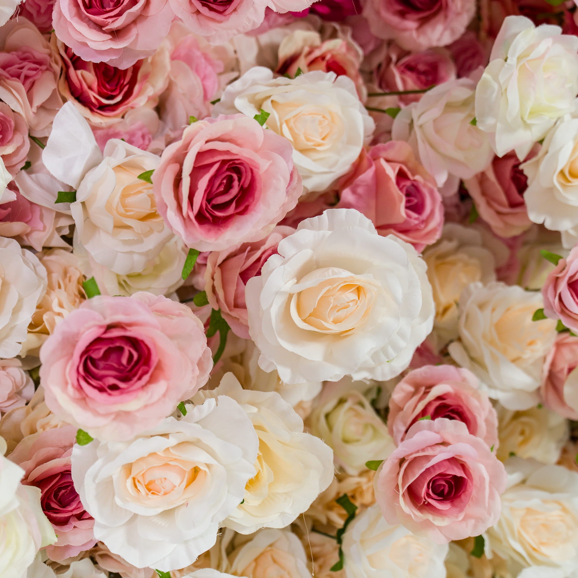 Valar Flowers Roll Up Fabric Artificial Red to White Gradient Flower Wall Wedding Backdrop, Floral Party Decor, Event Photography-VF-372-2