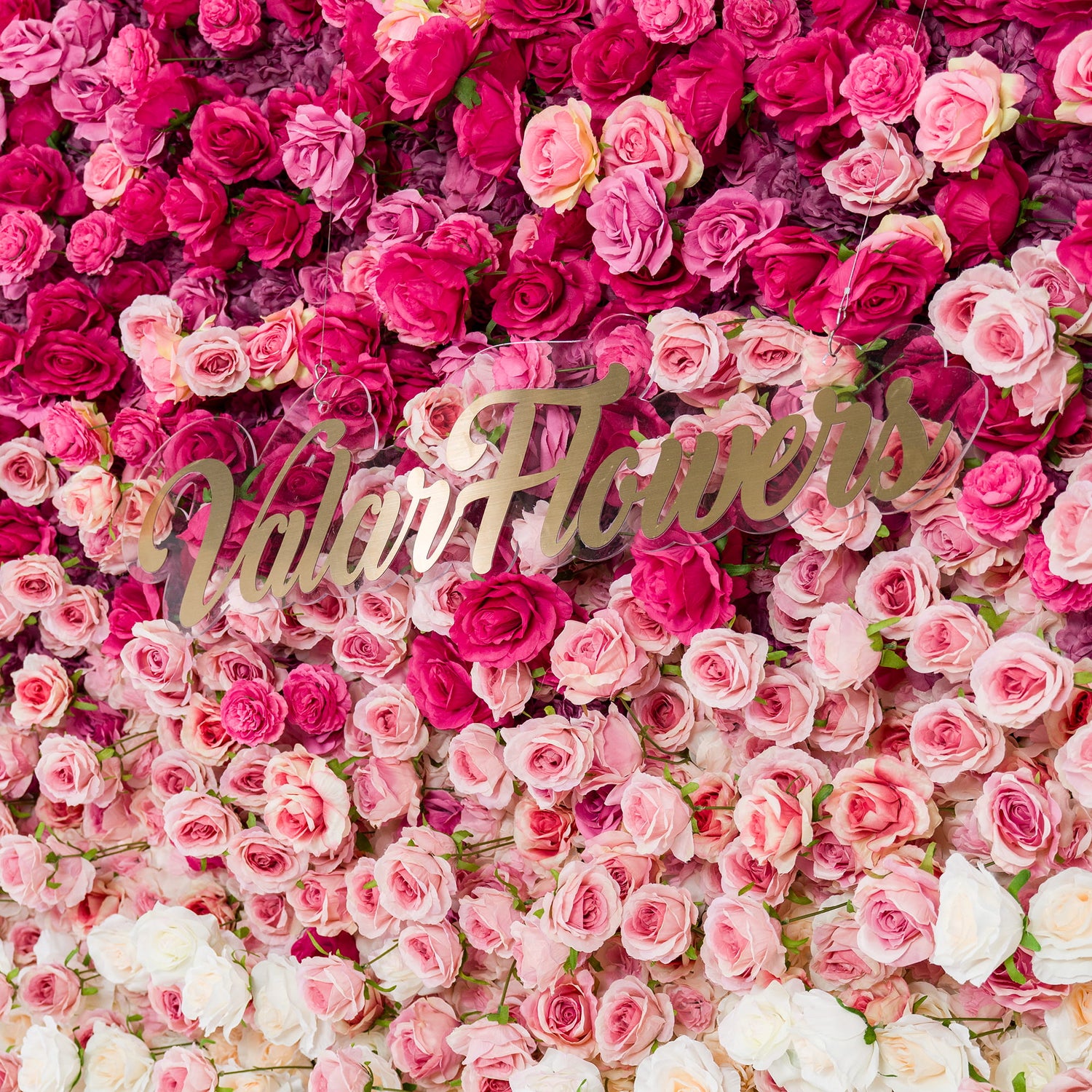 Valar Flowers ロールアップ ファブリック 人工赤から白のグラデーション フラワー ウォール ウェディング バックドロップ、花柄パーティー デコレーション、イベント フォトグラフィー - VF-372