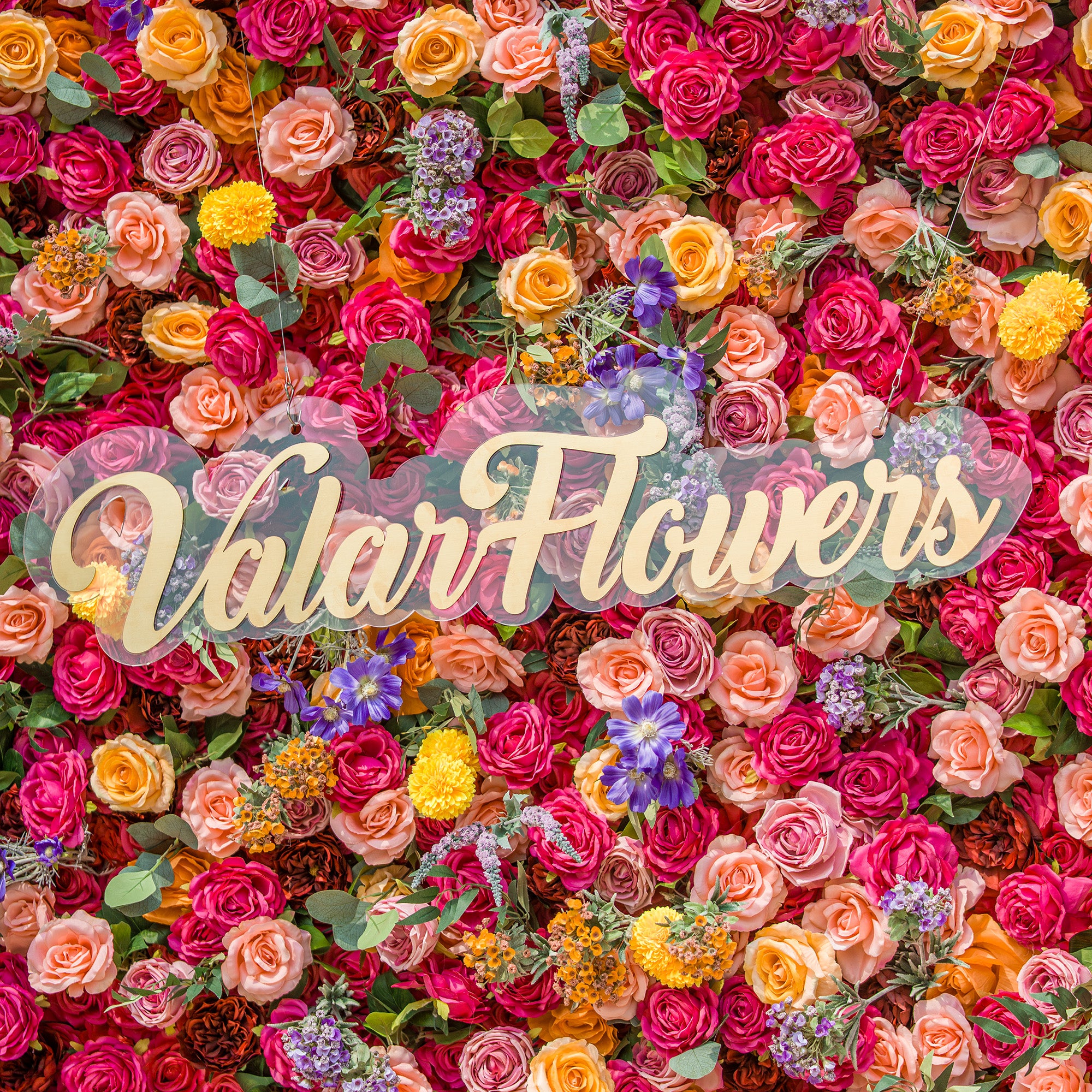 A lush floral wall by ValarFlowers overflows with vibrant blooms—roses in pink, peach, and red, plus yellow pom - poms, purple blossoms, and green foliage. The gold “ValarFlowers” logo on clear acrylic stands out, creating a dense, colorful backdrop. Perfect for events, this eye - catching display blends natural beauty with brand charm, offering a picturesque setting for photos and celebrations.