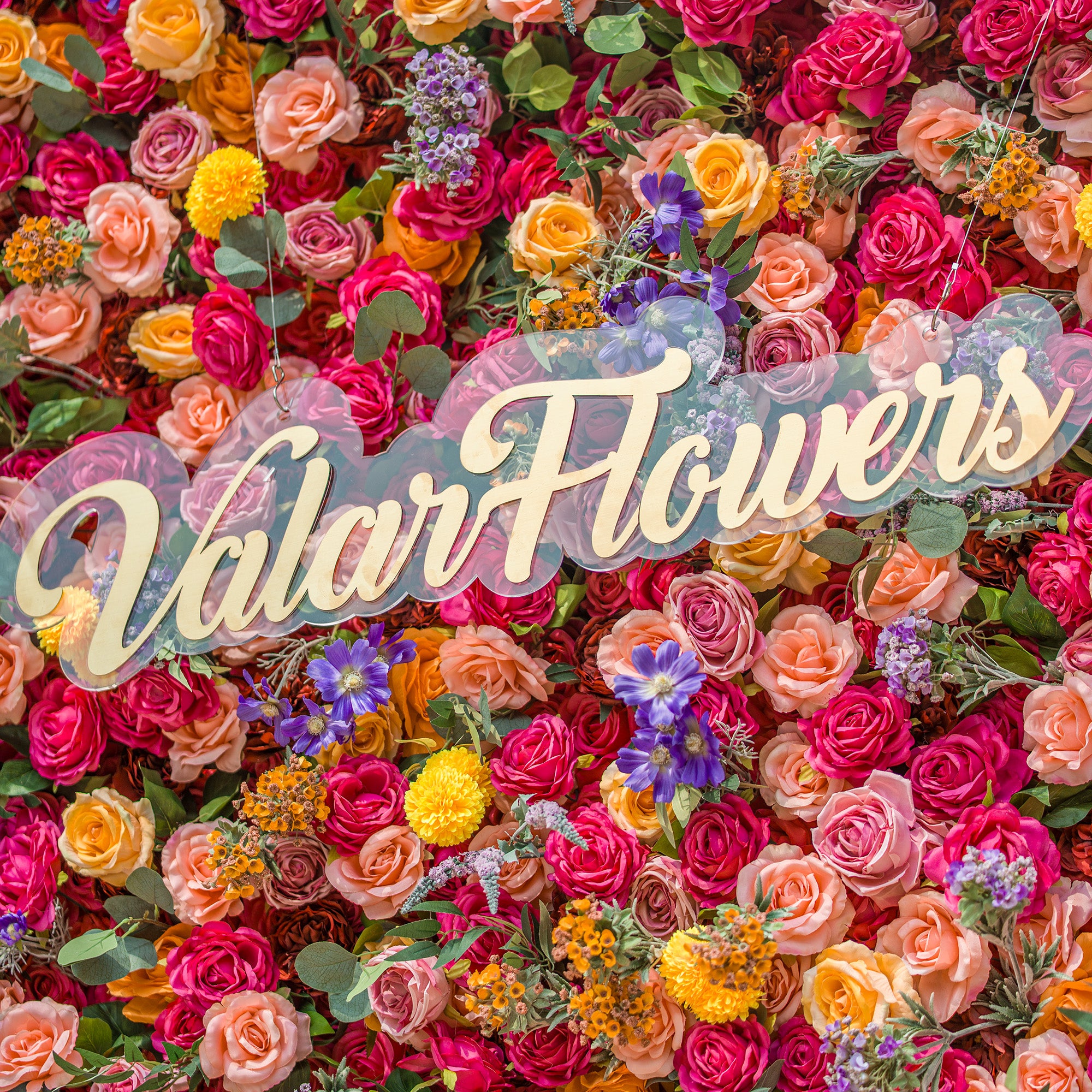 A vibrant floral wall from ValarFlowers, overflowing with colorful blooms! Rich red roses, soft peach roses, sunny yellow flowers, and purple blossoms create a lush backdrop. The gold “ValarFlowers” logo on clear acrylic stands out, blending natural beauty with brand charm. Perfect for events, this eye - catching display offers a picturesque, Instagram - worthy setting.