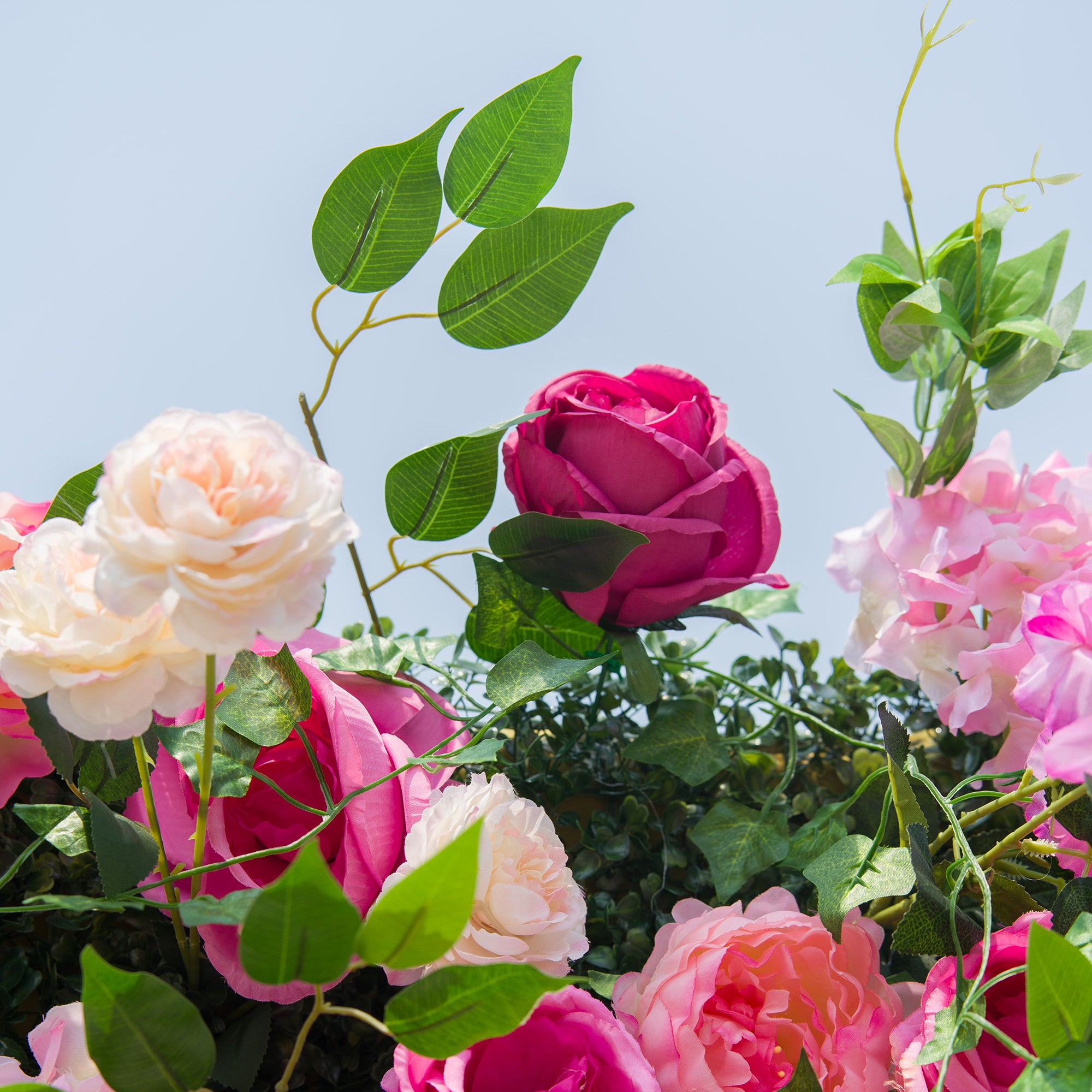 This photo features a vibrant mix of pink, deep - pink, and white roses, along with lush green foliage. The colorful blooms create a lively and romantic scene. Ideal for events such as a "Pink - themed Summer Soirée" or a garden wedding, it combines the elegance of roses with a burst of color, making it a perfect decorative choice for festive and joyous outdoor occasions.