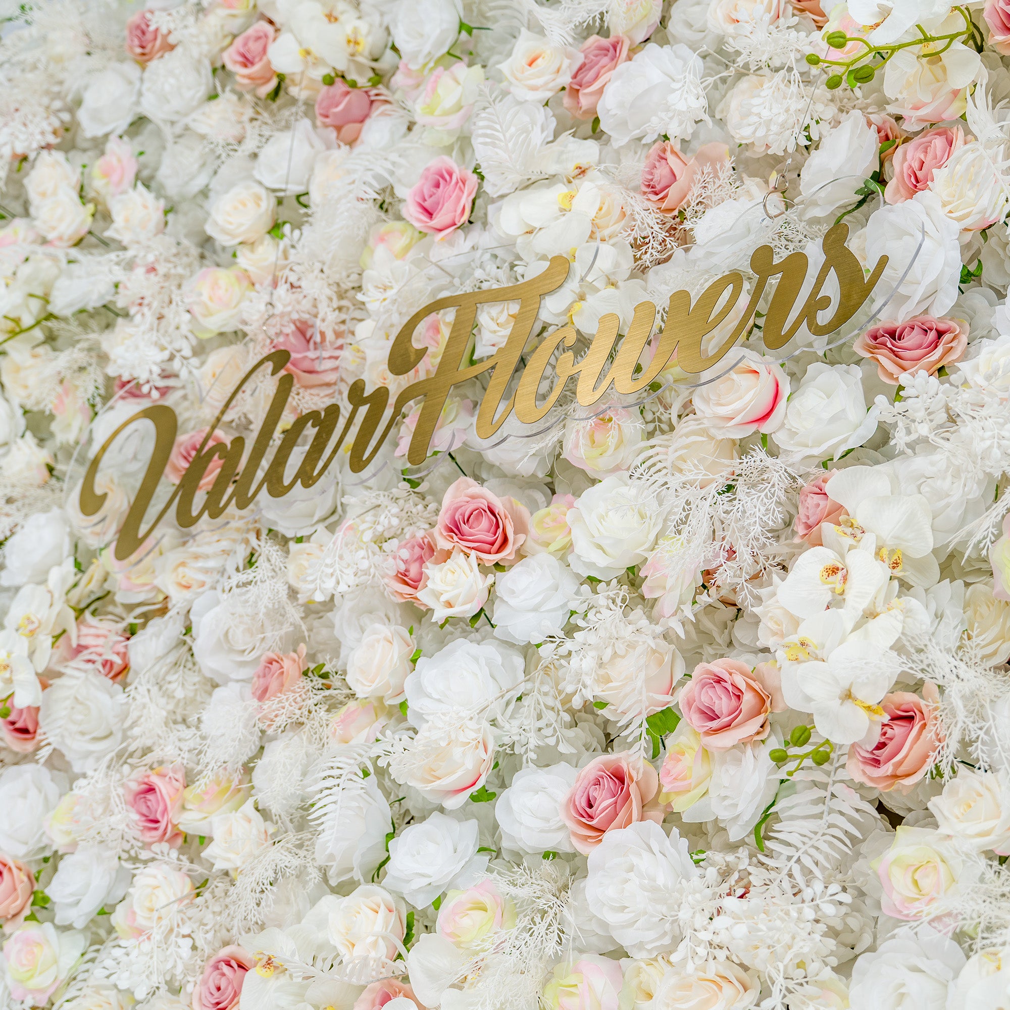This photo features a lush floral backdrop densely packed with white roses, pink - tinted roses, and white orchids, interspersed with delicate white foliage. The soft color palette of white and light pink creates an elegant and serene atmosphere. The golden text "Valar Flowers" stands out prominently. Ideal for weddings or upscale events, it exudes a refined, dreamy style.