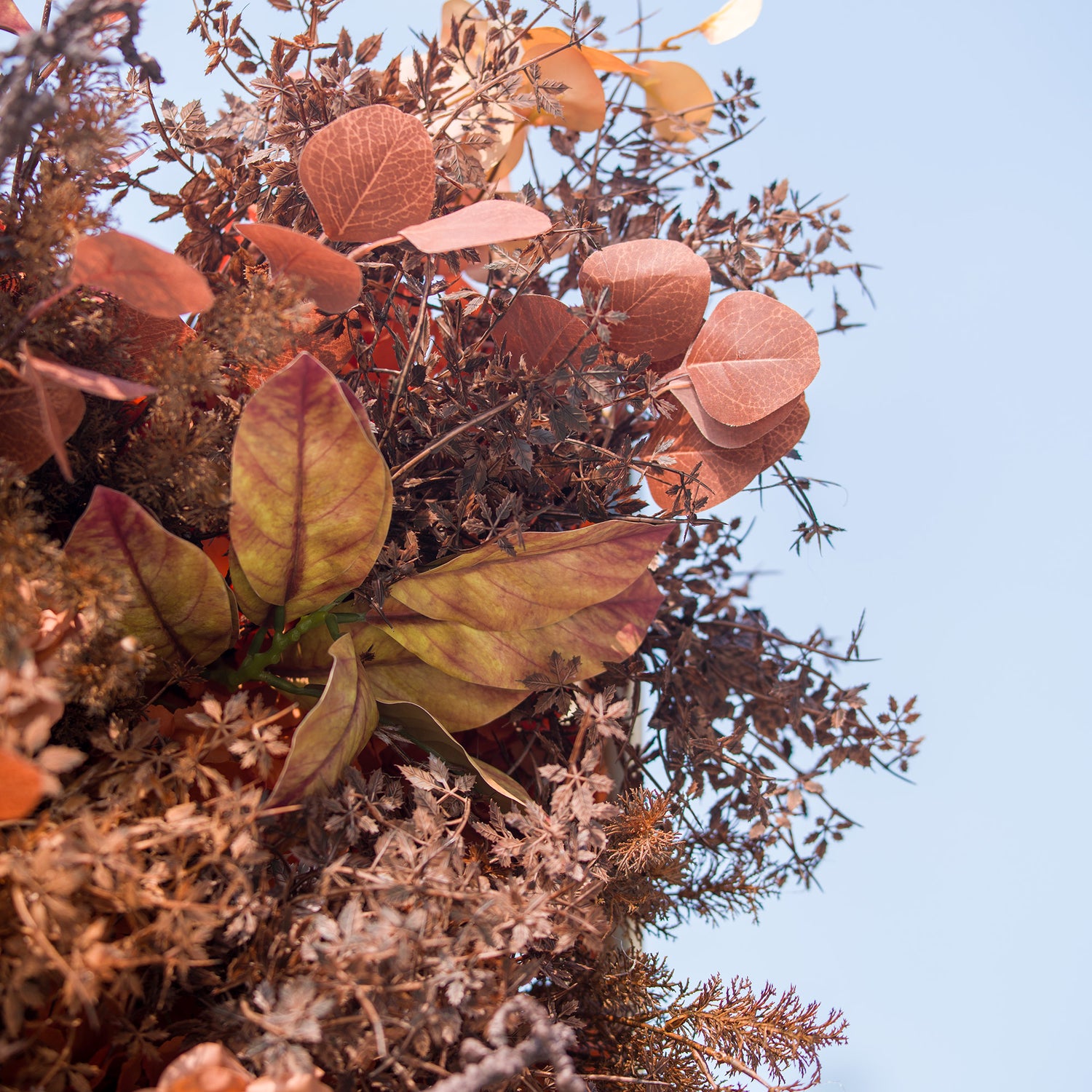 This photo showcases a rich arrangement of autumn - inspired flowers and foliage. The display features roses in warm brown tones, complemented by various dried - look leaves in shades of rust, copper, and orange. Ideal for events like an “Autumn Equinox” celebration or a harvest - themed wedding, it exudes rustic, seasonal charm.