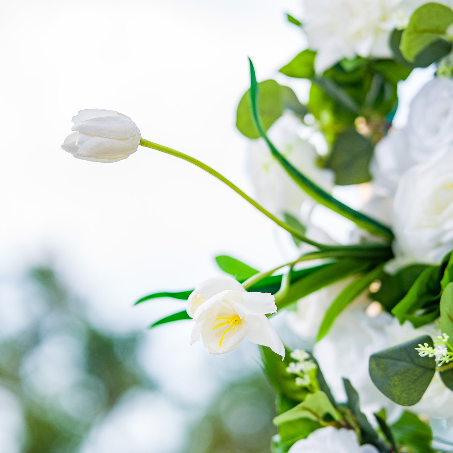 This photo showcases a delicate arrangement of white tulips and roses, complemented by lush green foliage. The pristine white blooms create an elegant and serene atmosphere. Ideal for events like a “White Serenity” bridal shower or a refined garden wedding, it exudes a sense of purity and grace, perfect for intimate and sophisticated celebrations.