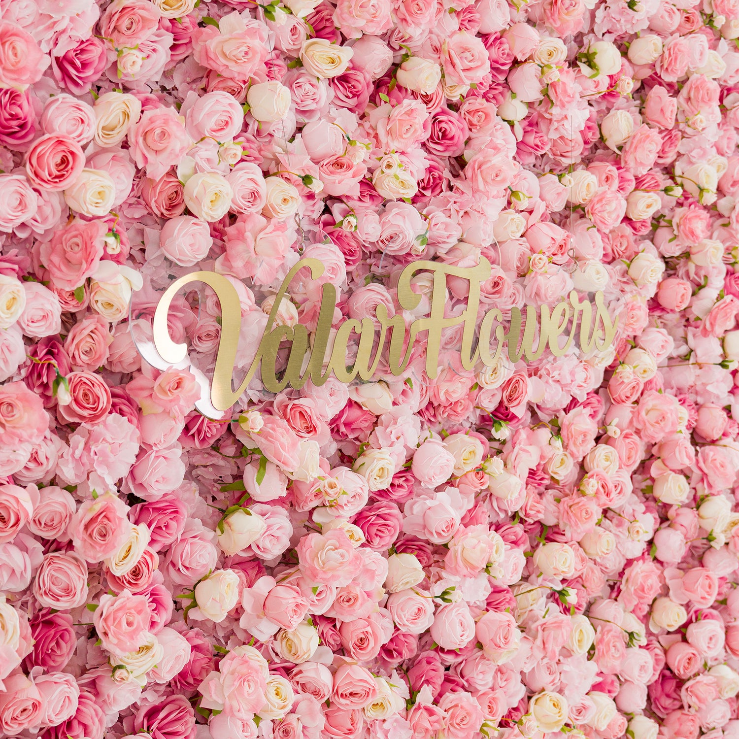 This photo showcases a lush floral backdrop densely filled with pink and white roses. The roses create a soft, dreamy effect, exuding romance. Prominently displayed in the center is the “ValarFlowers” logo in elegant gold lettering. Ideal for weddings, bridal showers, or other romantic events, this backdrop serves as a stunning decorative element, adding charm and sophistication to any setting.