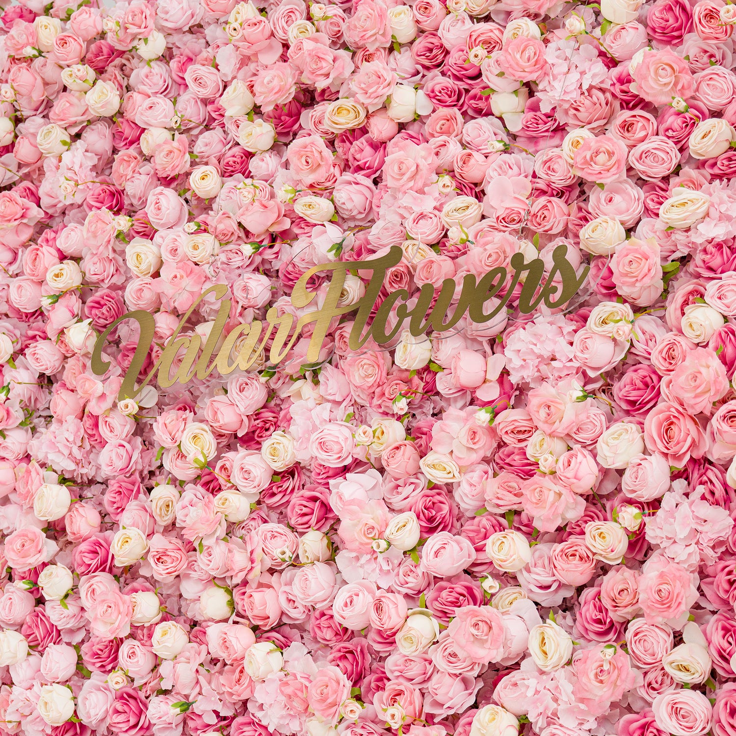 This photo showcases a lush floral backdrop densely covered with an array of pink and white roses. The roses create a soft, dreamy effect, exuding romance. Prominently displayed in the center is the “ValarFlowers” logo in elegant gold lettering. Ideal for weddings, bridal showers, or other romantic events, this backdrop serves as a stunning decorative element, adding charm and sophistication to any setting.