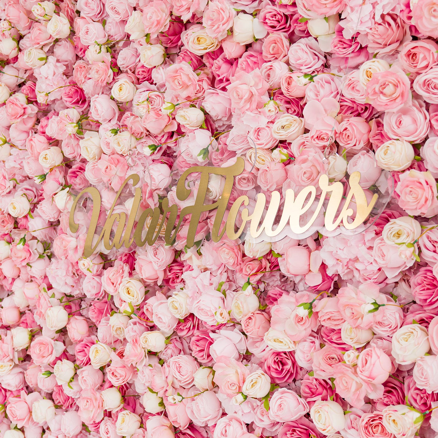This photo showcases a lush floral backdrop densely filled with pink and white roses. The roses create a soft, dreamy effect, exuding romance. Prominently displayed in the center is the “ValarFlowers” logo in elegant gold lettering. Ideal for weddings, bridal showers, or other romantic events, this backdrop serves as a stunning decorative element, adding charm and sophistication to any setting.