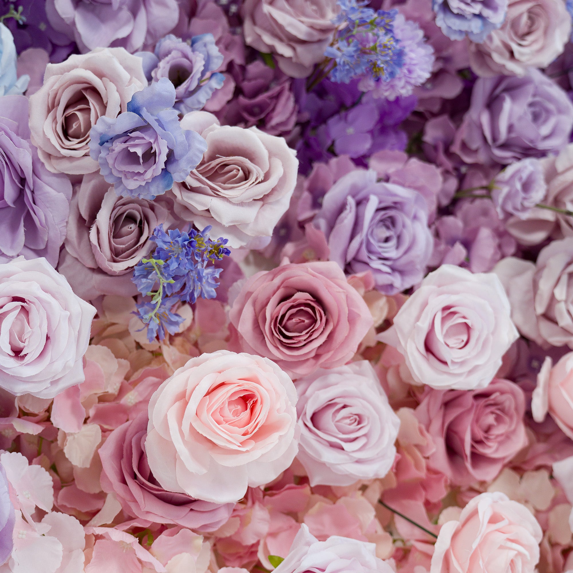 This photo showcases a lush arrangement of roses in soft pastel shades—pale pink, lavender, and light purple. Small blue delphinium - like flowers add contrast. The color theme creates a romantic, dreamy vibe, perfect for weddings, bridal events, or elegant gatherings. The gradient of gentle hues, combined with the varied rose blooms, forms a sophisticated, visually appealing display ideal for capturing memorable moments at upscale celebrations.