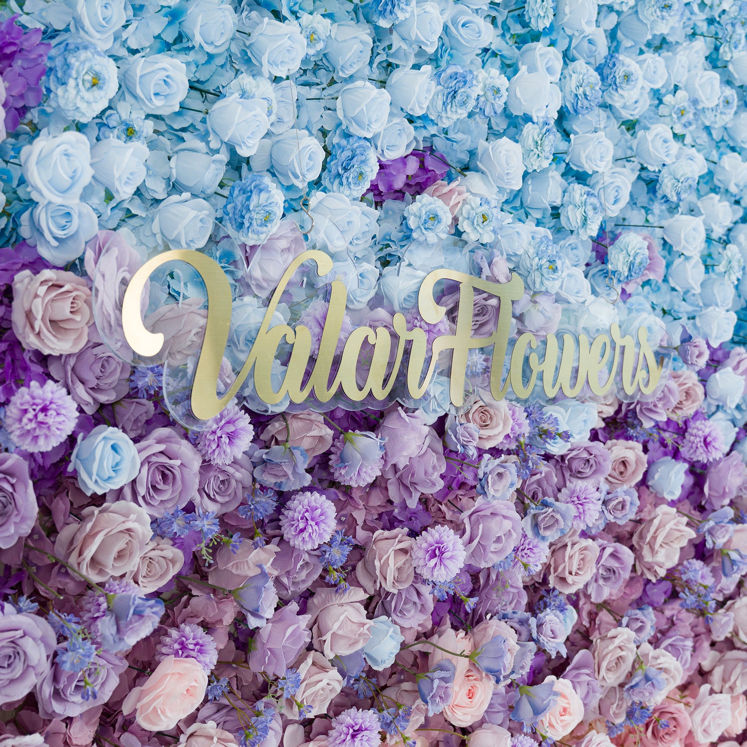 This vibrant floral wall features a mix of roses, chrysanthemums, and small blue blooms. The color theme transitions from sky - blue at the top to purple and pink below, creating a dreamy, elegant vibe. A gold “ValarFlowers” sign adds sophistication. Perfect for weddings, galas, or brand events, it serves as a photo - worthy backdrop, blending natural beauty with polished design to elevate any occasion.