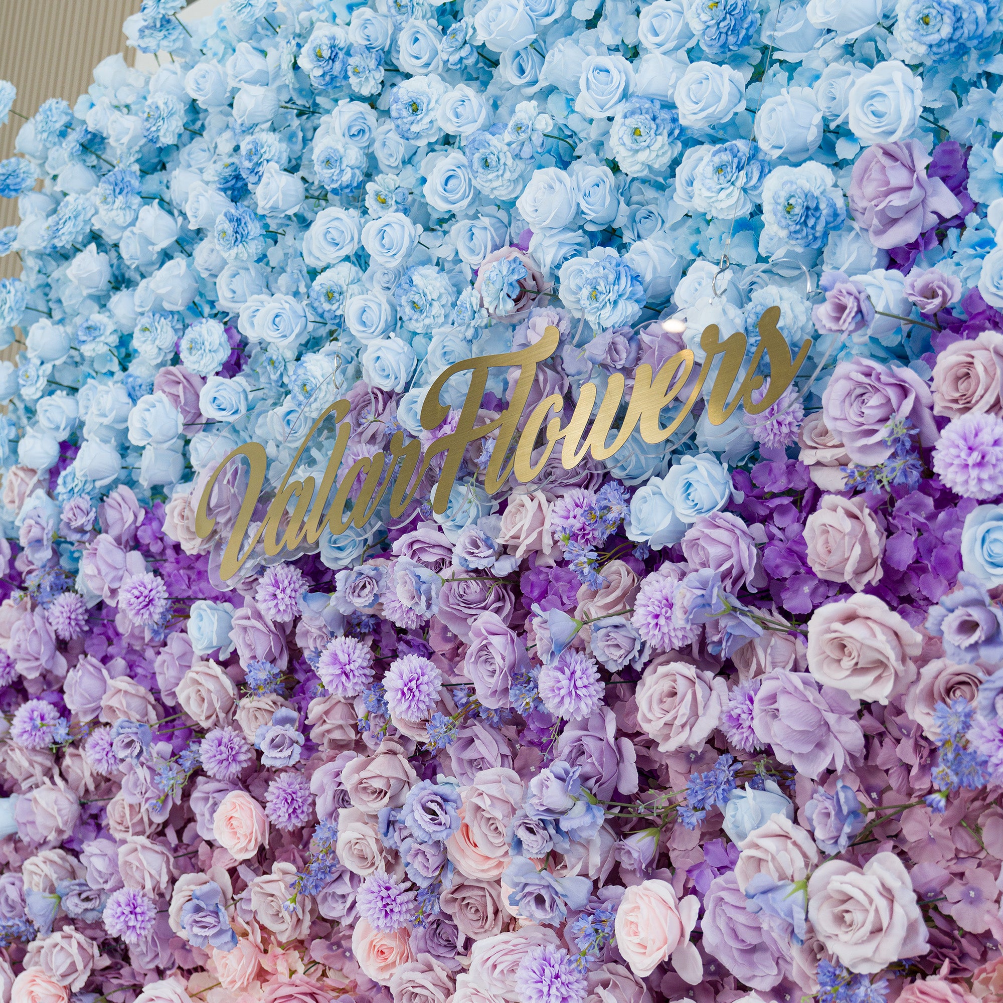 This vibrant floral wall features a mix of roses, chrysanthemums, and small blue blooms. The color theme transitions from sky - blue at the top to purple and pink below, creating a dreamy, elegant vibe. A gold “ValarFlowers” sign adds sophistication. Perfect for weddings, galas, or brand events, it serves as a photo - worthy backdrop, blending natural beauty with polished design to elevate any occasion.