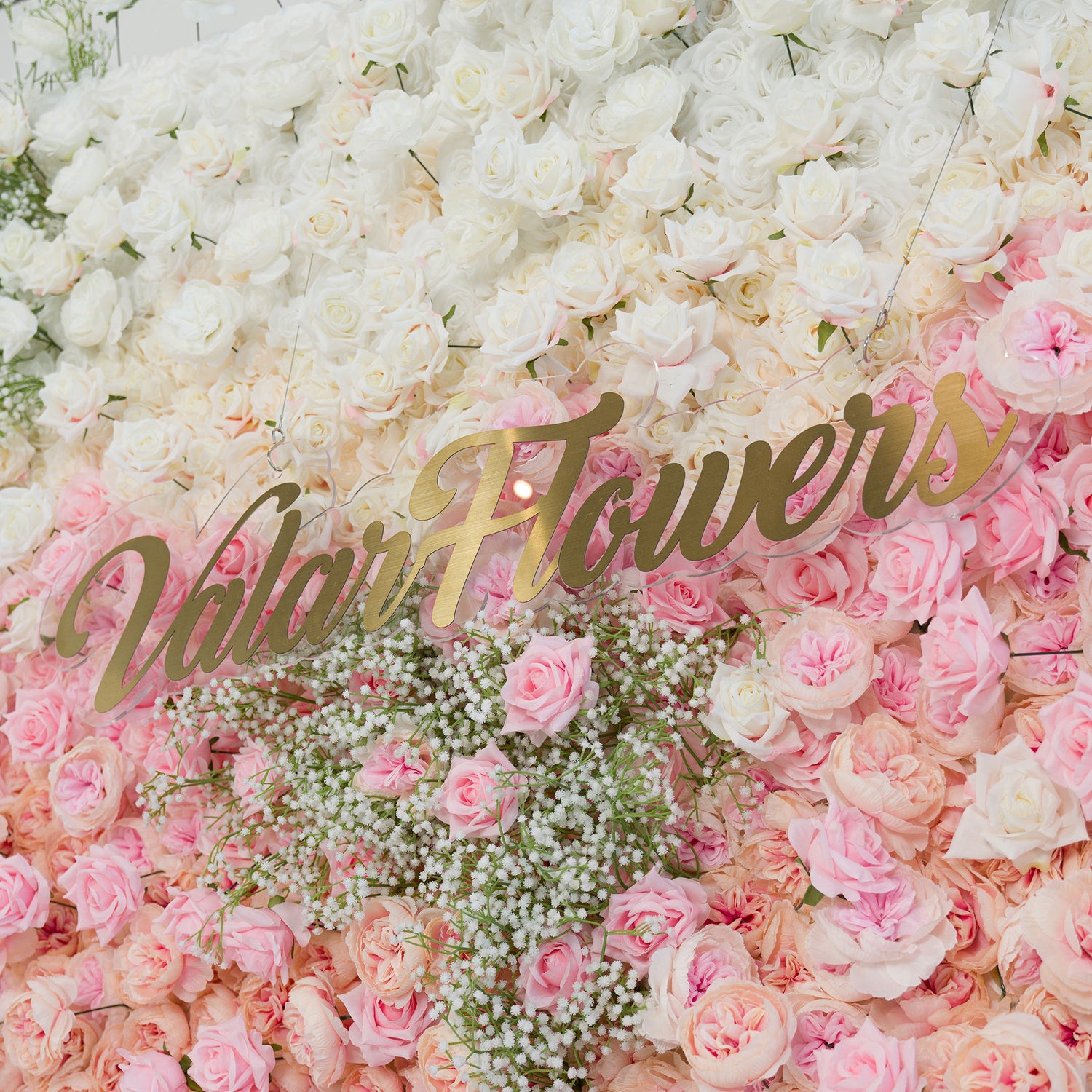 This stunning floral wall features white roses, baby’s breath, and soft pink blooms. The color theme—pure white to blush pink—creates a romantic, elegant vibe, perfect for weddings, bridal events, or upscale gatherings. The gold “ValarFlowers” sign adds sophistication, blending natural beauty with a polished aesthetic for memorable photo - worthy moments.