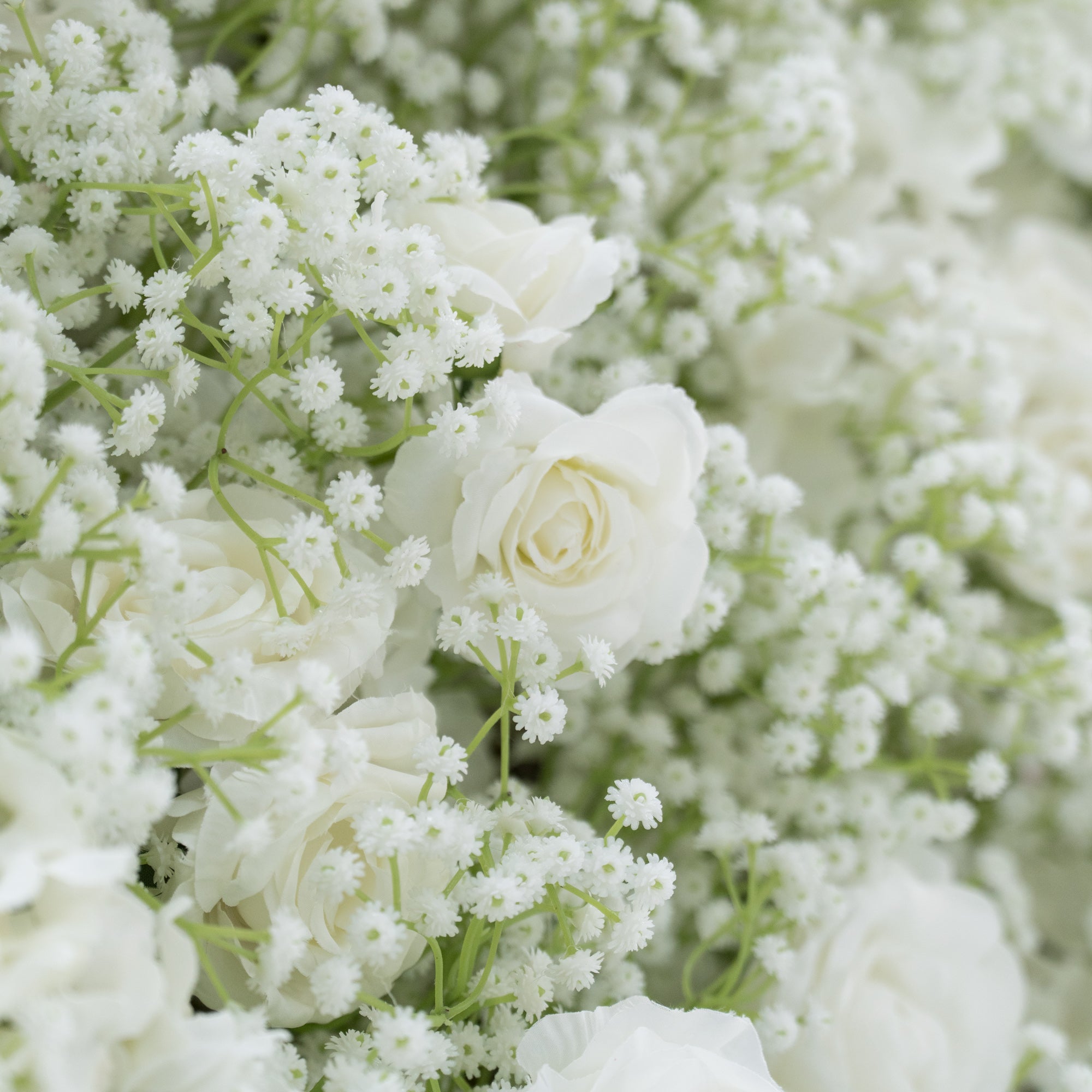 This image presents a lush arrangement of white flowers, featuring delicate white roses and abundant baby&