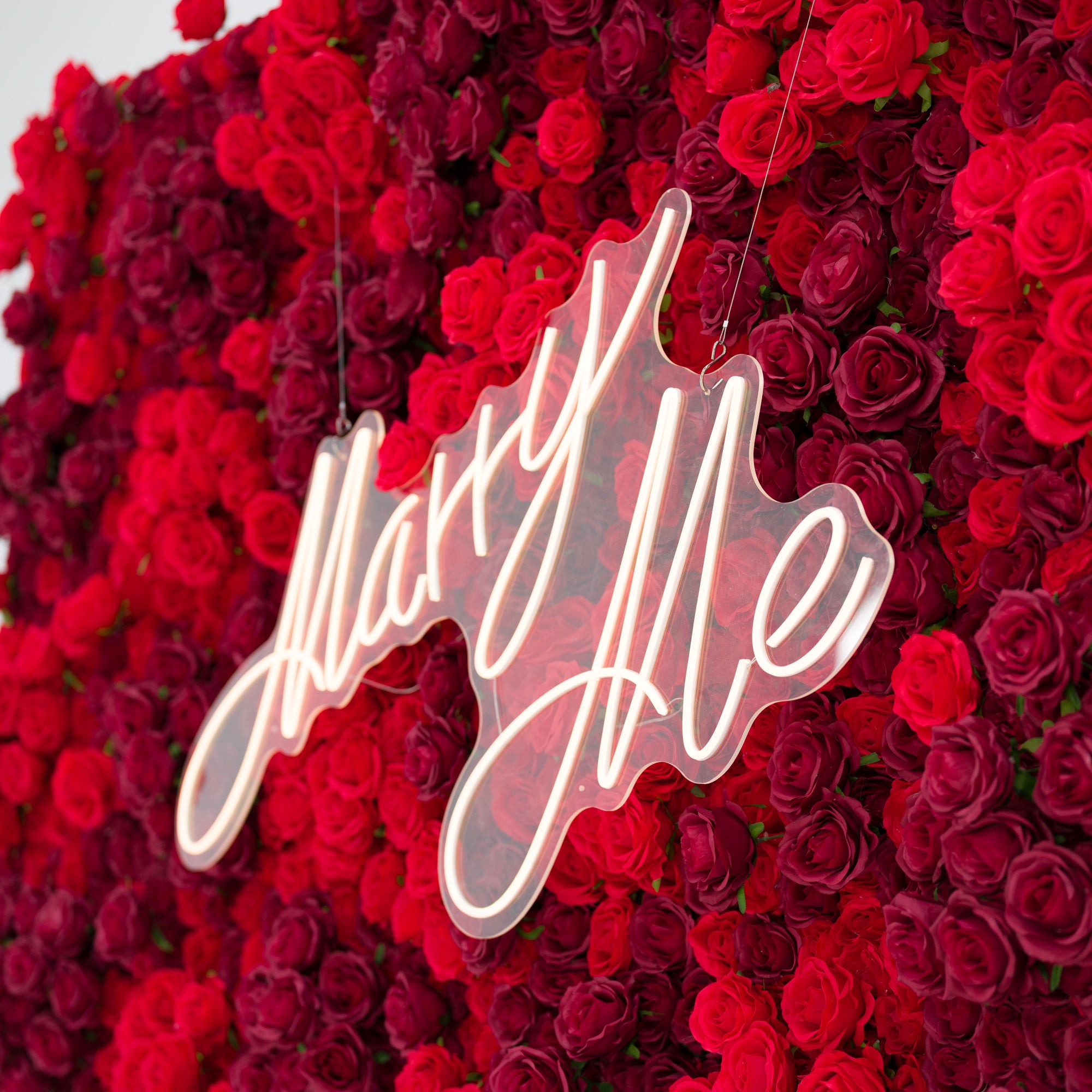 This vivid close-up centers on a glowing "Marry Me" neon sign—cursive, light-lit—set against a dense wall of rich red and burgundy roses. The sign’s soft glow contrasts sharply with the lush, layered petals, exuding romantic warmth and elegance. The bold, passionate palette makes this scene perfect for proposal setups, wedding decor, or intimate romantic events.