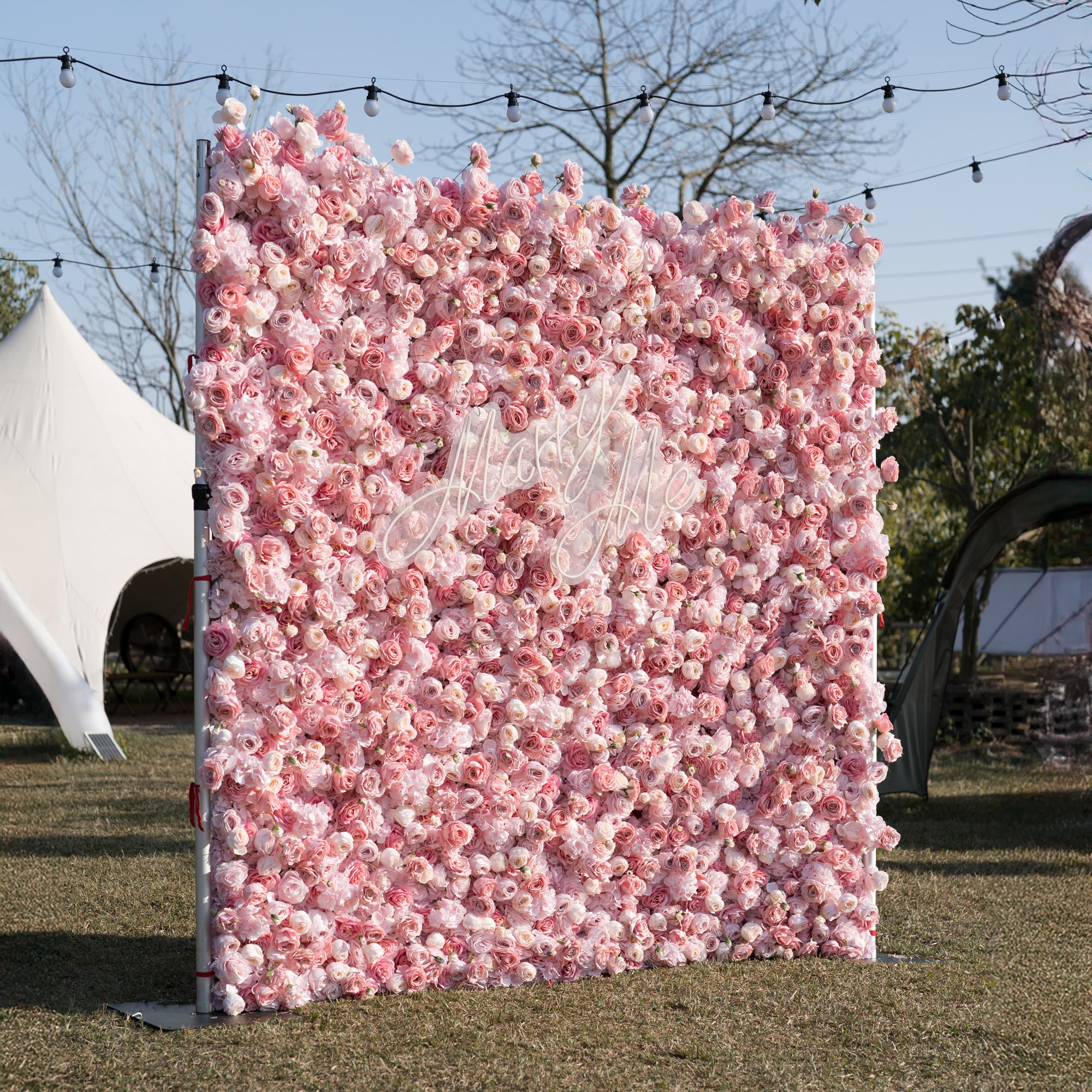 This outdoor backdrop (set on grass, with a white tent and string lights in the background) is a dense wall of soft pink blooms—roses and peonies. A delicate, cursive "Marry Me" sign rests within the flowers, amplifying the romantic vibe. The dreamy, blush-toned display exudes warmth, perfect for proposal setups, garden weddings, or intimate romantic events.