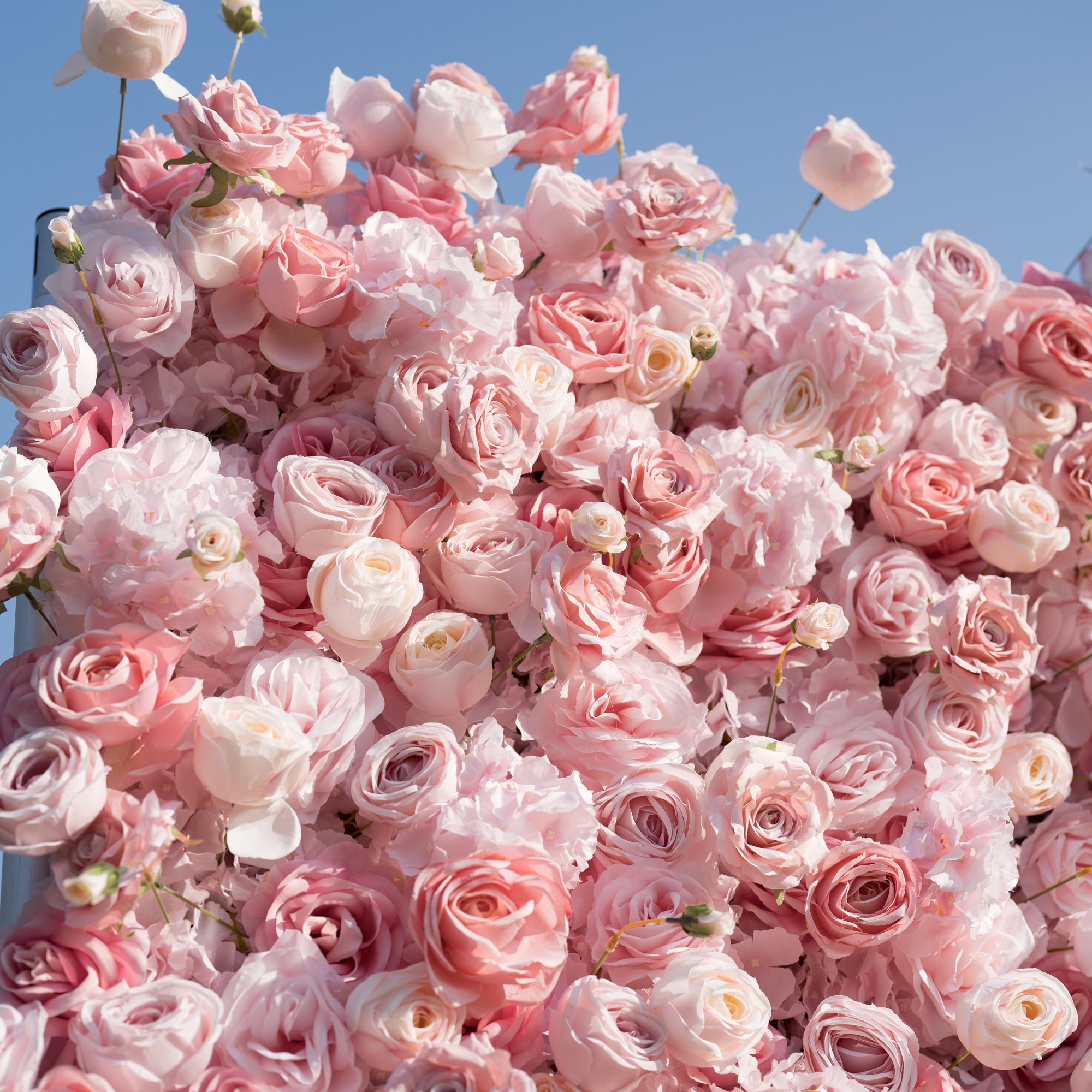 This close-up captures a lush cluster of soft pink and pale ivory roses, layered densely to create a full, romantic texture. The blooms (in varying blush tones, plus delicate buds) stand out against a clear blue sky, exuding gentle elegance. The dreamy, feminine palette feels timeless, perfect for wedding decor, floral arrangements, or intimate event backdrops.