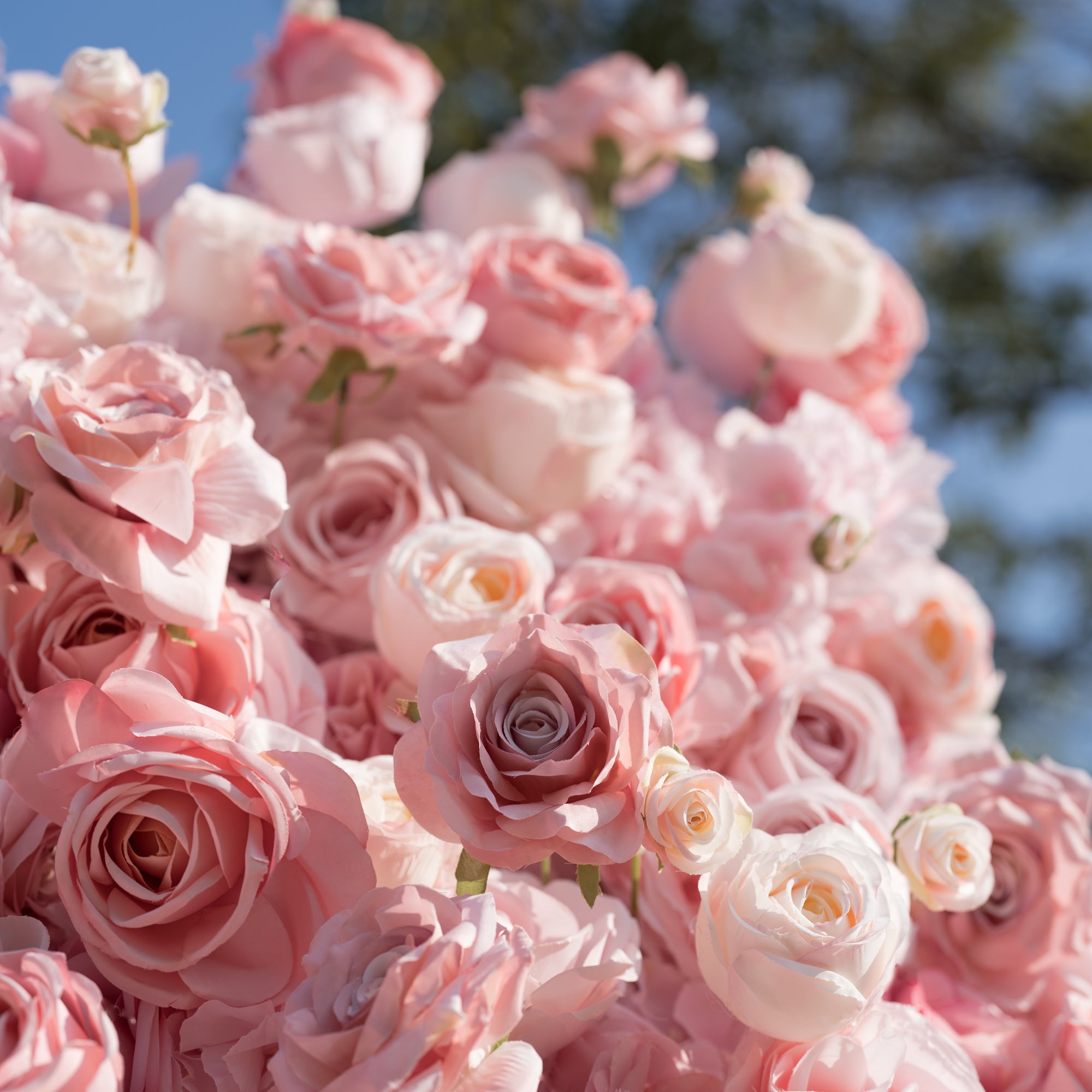 This close-up showcases a dense cluster of soft pink and pale ivory roses, varying in blush tones and including delicate buds. The full, ruffled blooms create a lush, romantic texture, set against a blurred blue sky and green foliage. The dreamy, feminine palette exudes timeless elegance, ideal for wedding decor, floral arrangements, or intimate event backdrops.