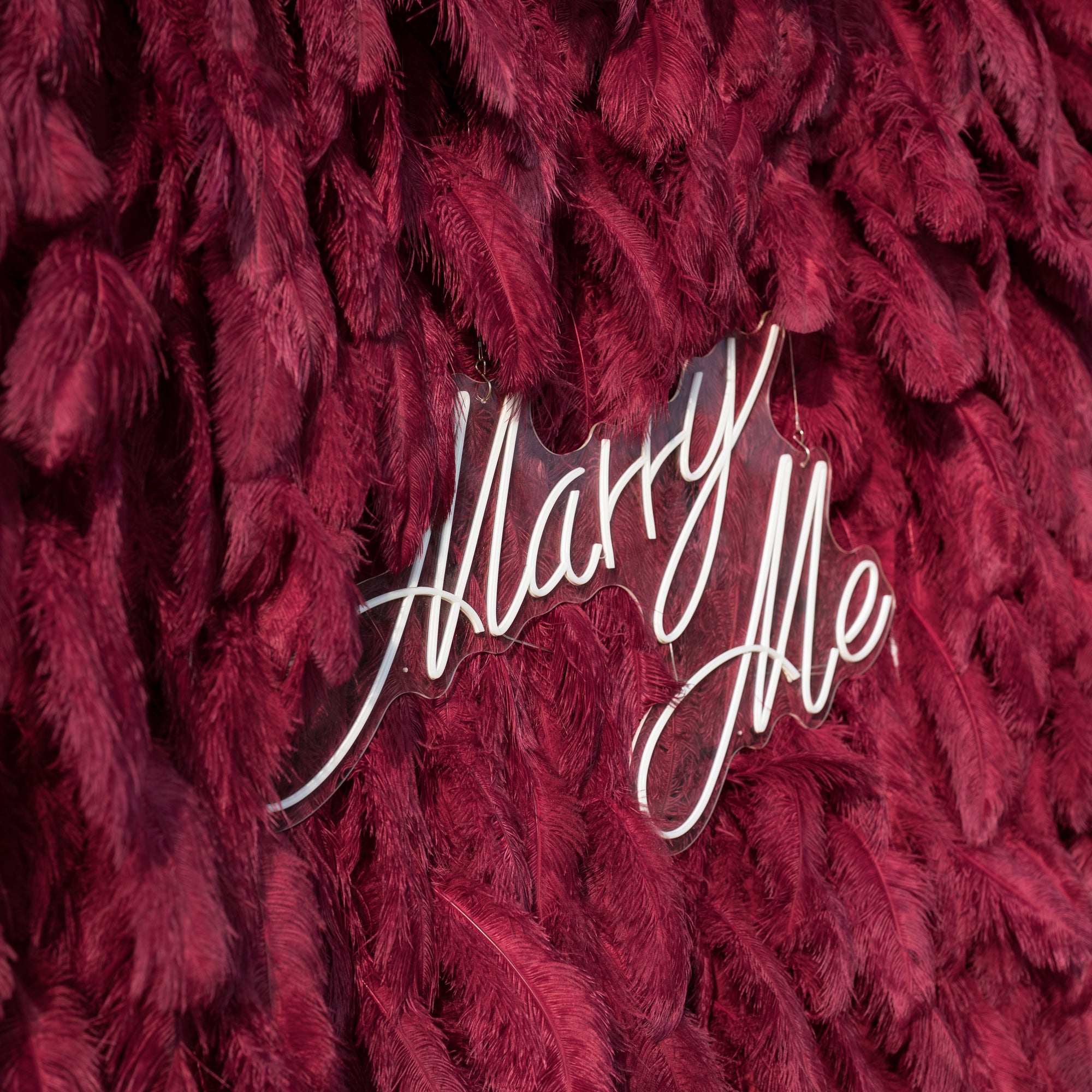 This intimate close-up features a sleek, clear acrylic “Marry Me” sign, its elegant white cursive script contrasting beautifully against a lush backdrop of deep burgundy ostrich feathers. The plush, velvety texture of the feathers creates rich depth and warmth, elevating this romantic detail into an opulent, intimate focal point for a proposal or engagement moment.