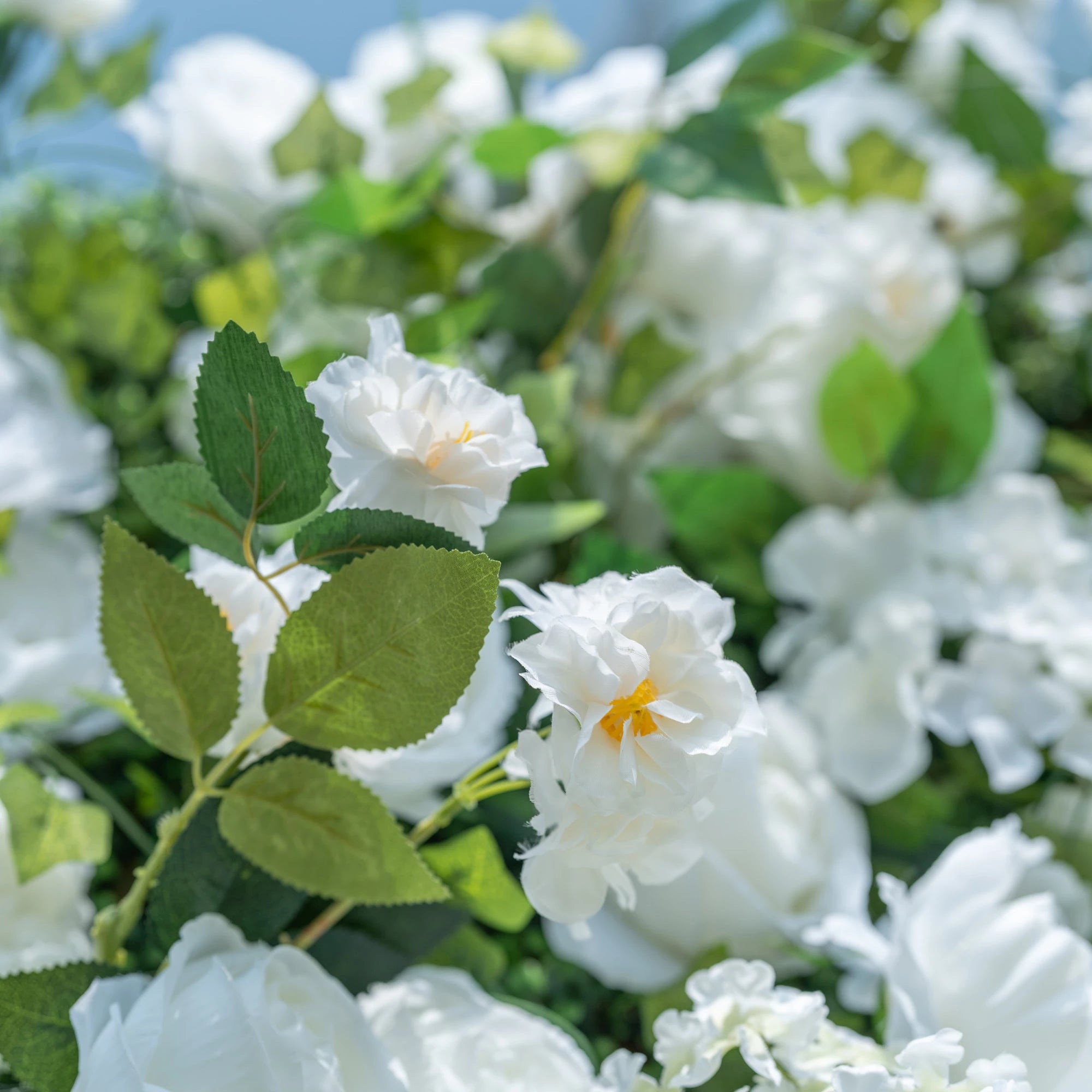 This close-up highlights Valar Flowers’ premium artificial white blooms, featuring delicate layered petals with soft yellow centers and hyper-realistic textured green foliage. The shallow depth of field emphasizes the intricate details of the flowers, creating a lifelike, romantic aesthetic. Maintenance-free and durable, these blooms are ideal for weddings, photo booths, and luxury events, offering a clean, timeless look perfect for professional styling.