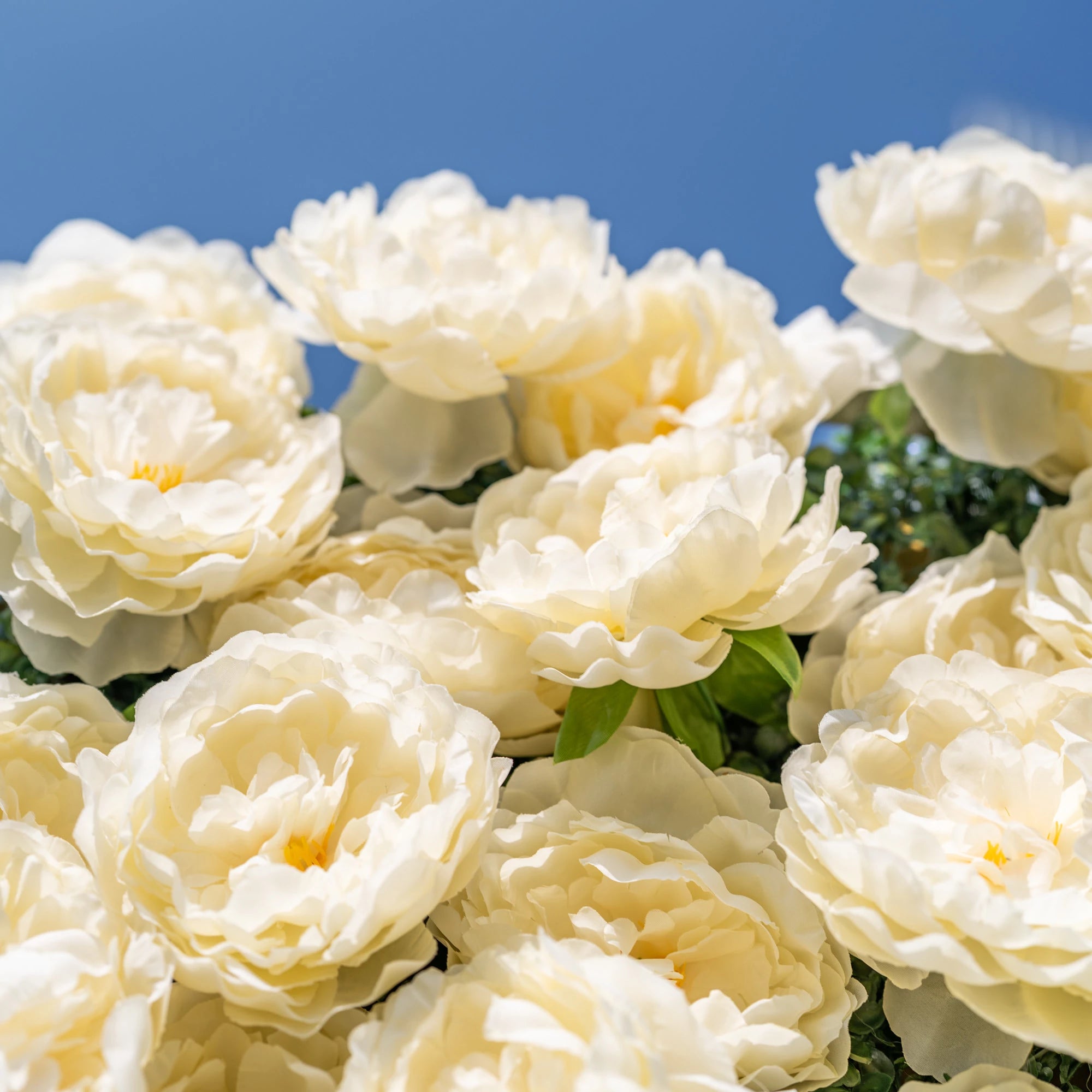 This close-up showcases Valar Flowers’ premium artificial ivory peonies, highlighting their lush, layered petals and lifelike texture. Crafted with soft, natural-looking fabric and subtle yellow centers, these blooms mimic the delicate beauty of fresh peonies. Ideal for wedding backdrops, photo booths, and luxury event decor, these durable, maintenance-free flowers offer a timeless, elegant aesthetic for professional styling.