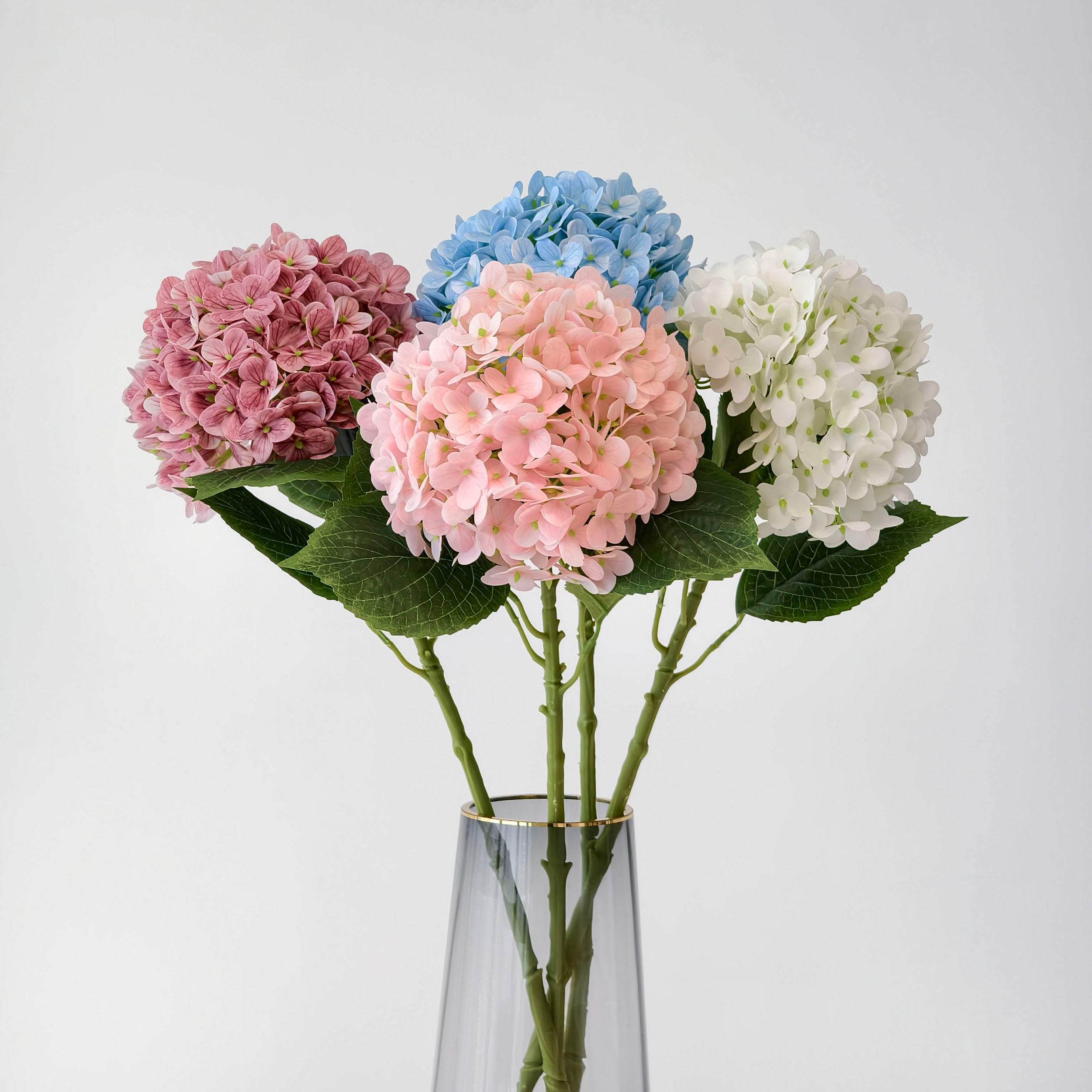 This arrangement showcases five hydrangea blooms in soft pink, deep pink, sky blue, and pure white, with lush green leaves. Placed in a sleek glass vase with a gold rim, it brings a fresh, elegant touch to home decor. The mix of pastel and vivid hues creates a charming, balanced aesthetic, perfect for adding a gentle, natural beauty to any space.