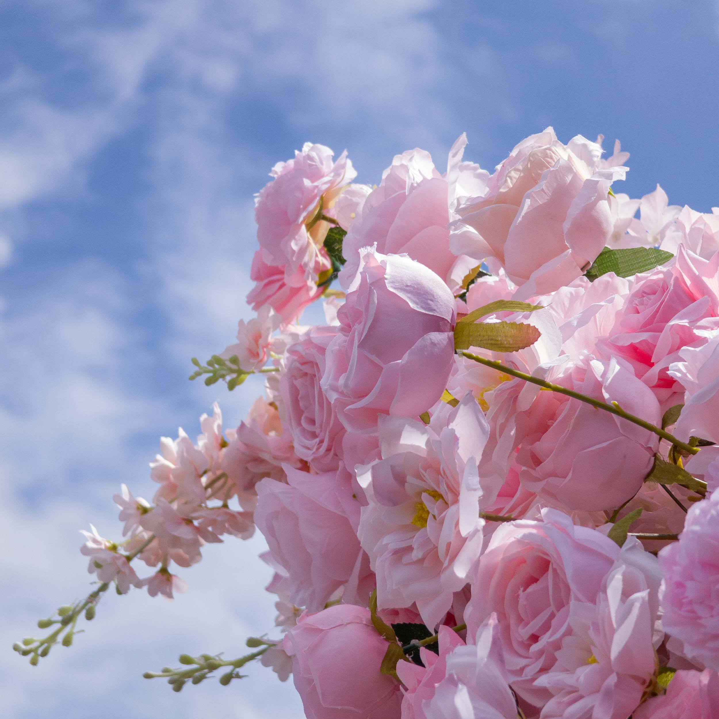 This close-up from Valar Flowers captures a lush cluster of soft pink blooms—including roses, peonies, and delicate wisteria—arranged against a bright blue sky with wispy clouds. The velvety petals and trailing sprays create a romantic, dreamy atmosphere, ideal for weddings, engagement shoots, or elegant celebrations.
