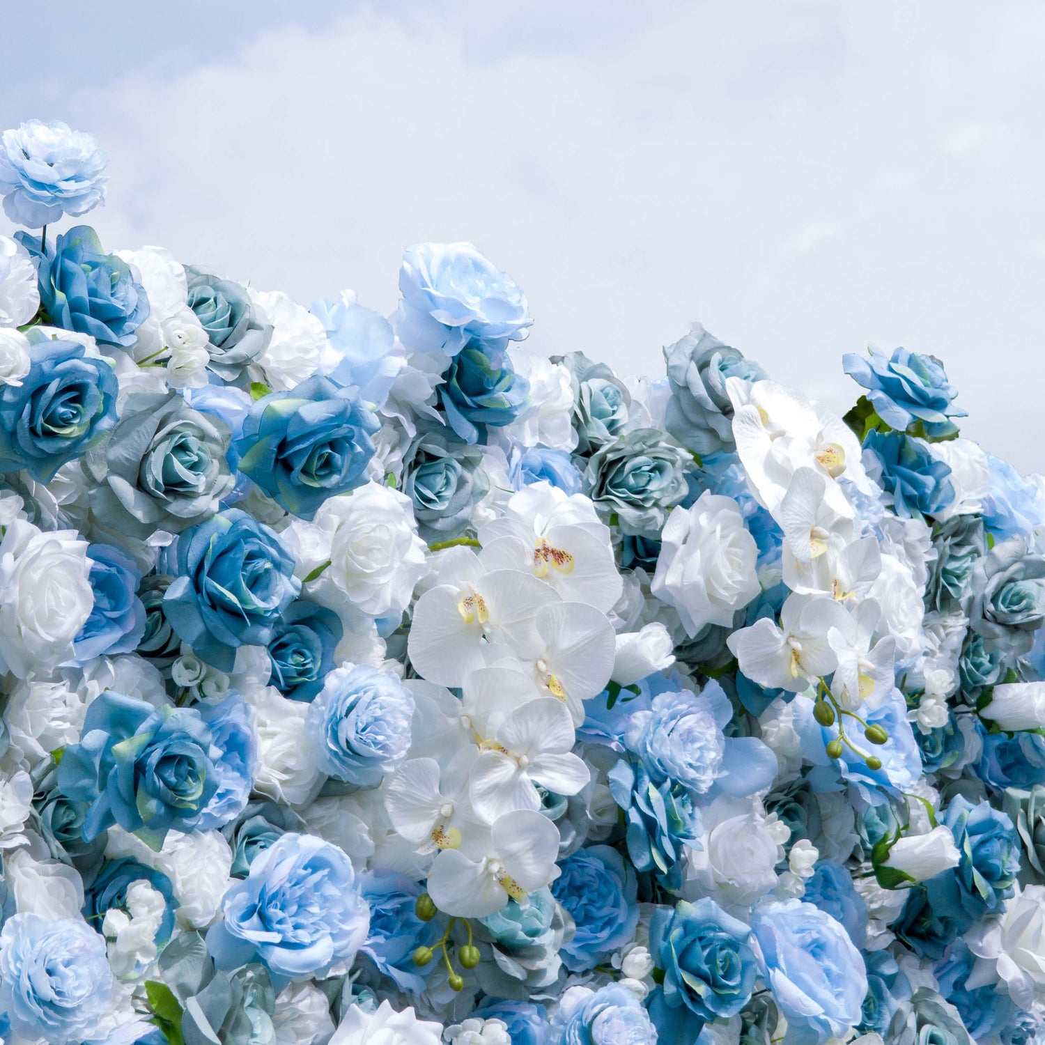 This photo showcases a lush floral arrangement featuring a mix of blue and white roses, along with white orchids. The flowers are densely packed, creating a visually striking and elegant display. The soft hues of blue and white blend seamlessly, evoking a sense of tranquility and sophistication. The blooms appear fresh and well - arranged, making this composition perfect for high - end events such as weddings or upscale galas, where a refined and serene aesthetic is desired.