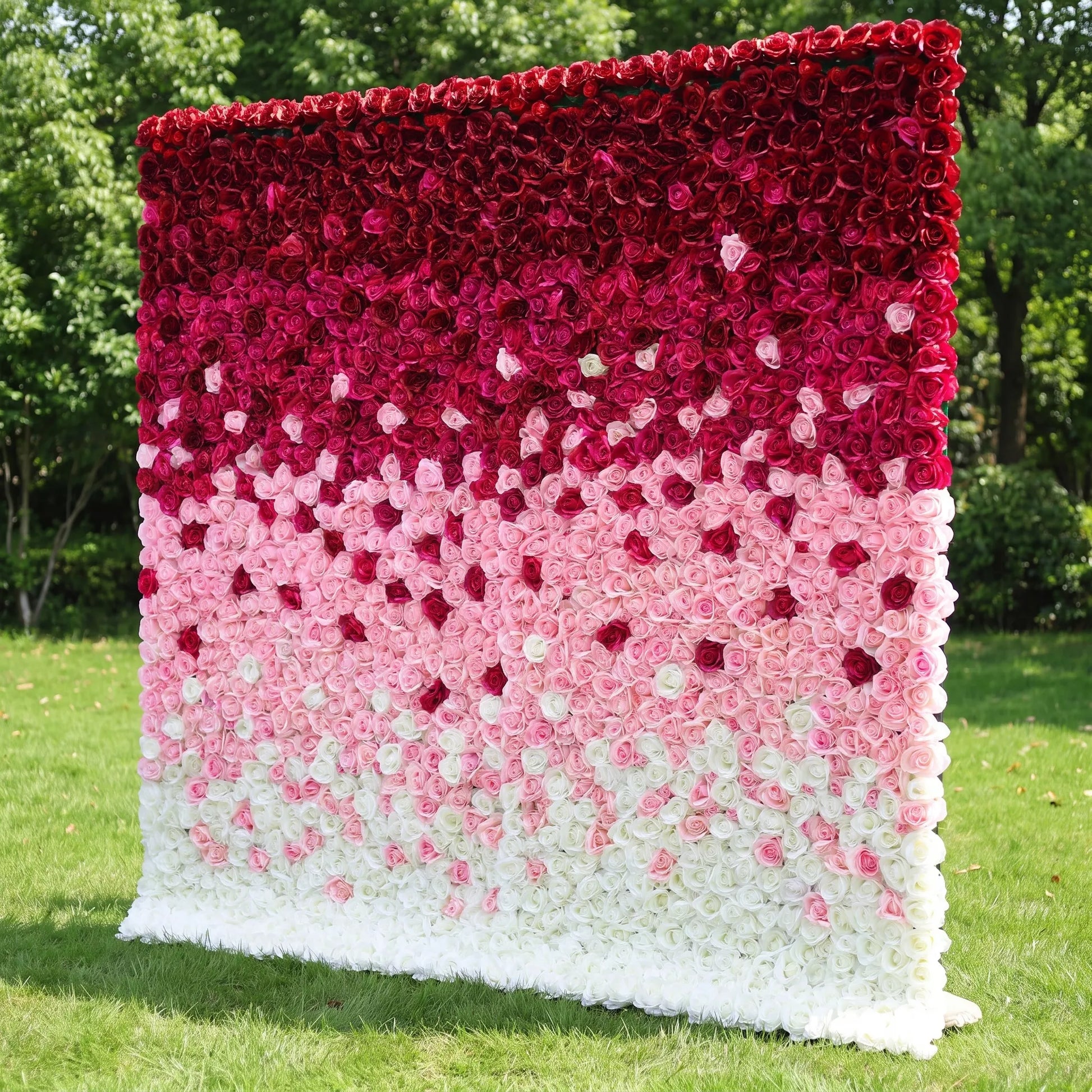Gradient ombre artificial rose flower wall with seamless deep burgundy, blush pink and creamy white layered blooms, placed on a lush outdoor lawn. This reusable, zero-maintenance floral backdrop features dense full coverage for rich romantic texture. Perfect for wedding photo booths, bridal showers, boutique retail displays and brand content shoots, delivering eye-catching layered color gradients for elegant social media-ready event decor.