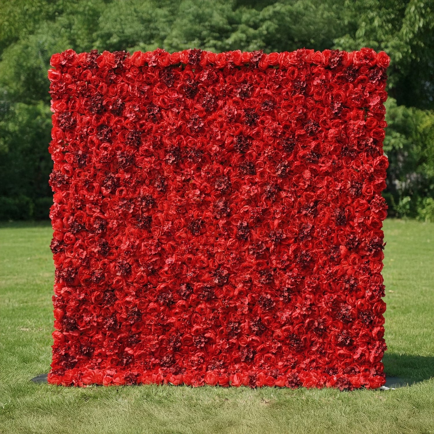 This striking outdoor backdrop stands on a lush green lawn, framed by leafy trees. It is a dense, wall-to-wall expanse of deep red roses, their velvety petals creating a rich, textured surface that exudes passion and drama. The bold, saturated hue contrasts vividly with the soft green grass, making it ideal for romantic proposals, Valentine’s Day events, or bold wedding decor that commands attention.