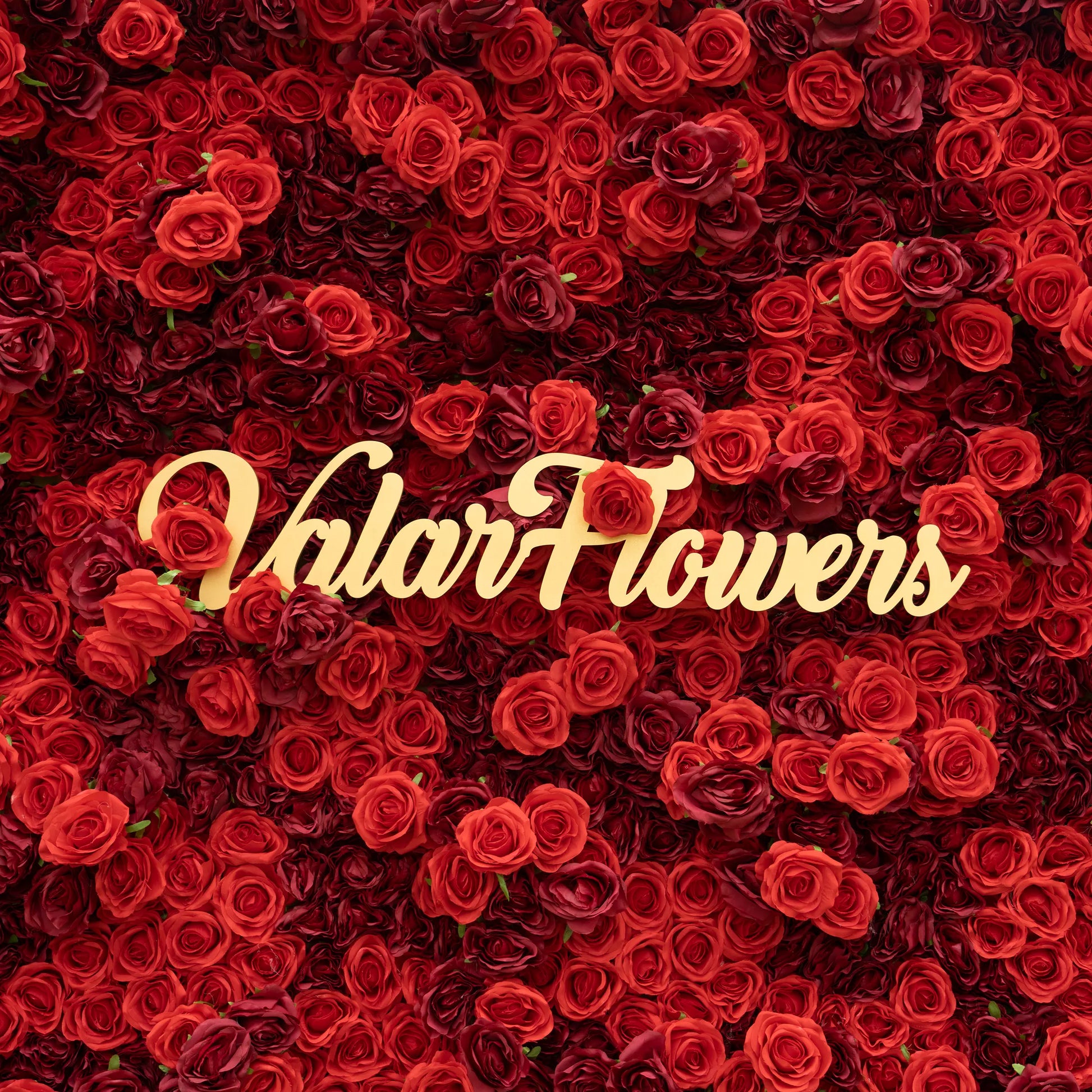 This lush close-up features a dense tapestry of red and burgundy roses, their soft, ruffled petals creating a velvety, romantic texture. Centered on the blooms is a polished, cursive "ValarFlowers" sign in metallic gold, which contrasts vividly with the rich, deep hues. The elegant, passionate palette makes this display perfect for premium floral decor, wedding styling, or brand showcases.