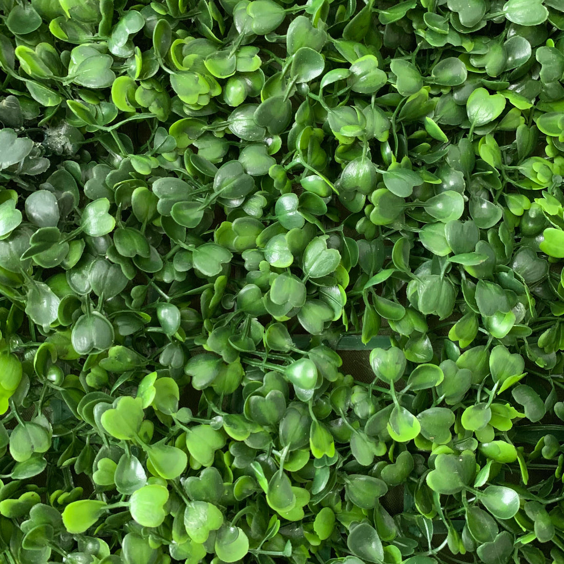 This image showcases a dense artificial greenery product by ValarFlowers. It features a variety of small, heart-shaped green leaves with realistic textures, creating a rich, natural, and visually refreshing display. The lush, uniform foliage mimics the look of real greenery, making it perfect for adding a touch of organic elegance to events or spaces. This piece exudes a serene and sophisticated atmosphere, characteristic of ValarFlowers’ attention to detail and craftsmanship.