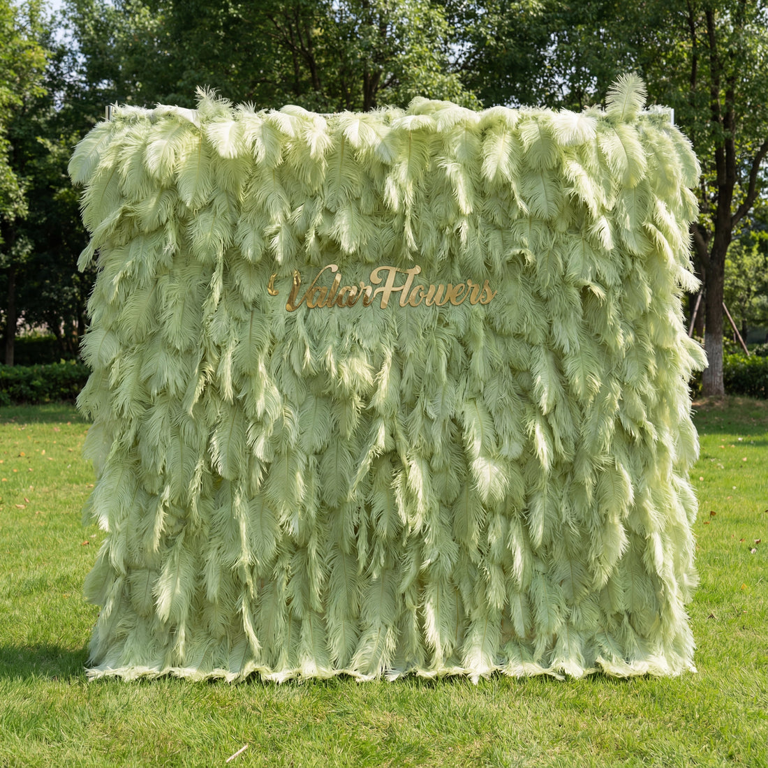 This ethereal backdrop (set on sunlit grass, tree backdrop) is draped in lush, layered pale sage-green ostrich feathers, with soft gradients from minty lime to muted seafoam. A polished gold “ValarFlowers” sign anchors the center, glowing against the plush, airy plumage. Natural sunlight enhances the feathery texture’s depth, merging fresh, earthy pastels with opulent metallic warmth to create a serene, elegant focal point—ideal for upscale outdoor events or whimsical celebrations.