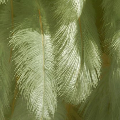 This close-up showcases lush pale sage-green ostrich feathers, layered to create a soft, airy texture. Sunlight filters through the fine filaments, casting minty lime highlights that contrast with muted seafoam shadows—crafting subtle tonal gradients across the wispy plumage. The delicate, feathery surface and earthy pastel hues evoke a serene, fresh atmosphere, blending gentle softness with tranquil depth.