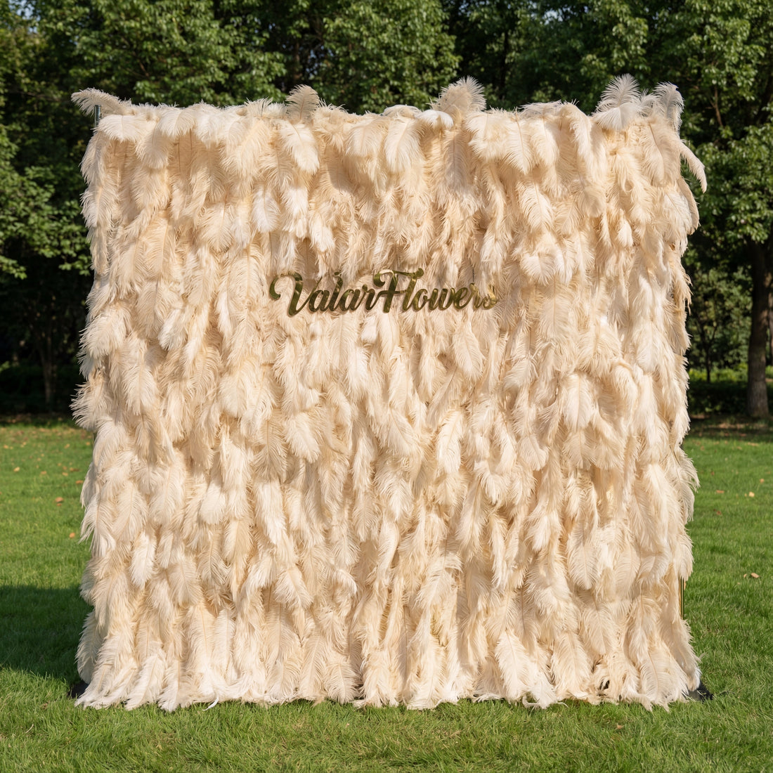 This opulent backdrop (set on sunlit grass, tree backdrop) is draped in lush, layered champagne-ivory ostrich feathers, with soft gradients from pale cream to warm beige. A polished gold “ValarFlowers” sign anchors the center, glowing against the plush, airy plumage. Natural sunlight enhances the feathery texture’s depth, merging timeless neutral elegance with opulent metallic warmth to create a refined, sophisticated focal point—ideal for upscale outdoor events or romantic celebrations.